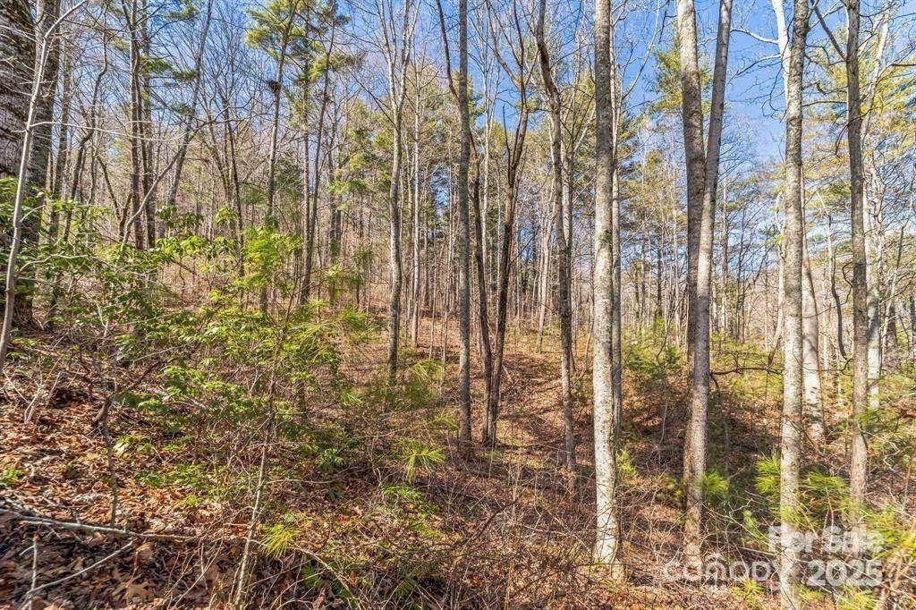 Asheville, NC 28805,99999 Parker RD #3