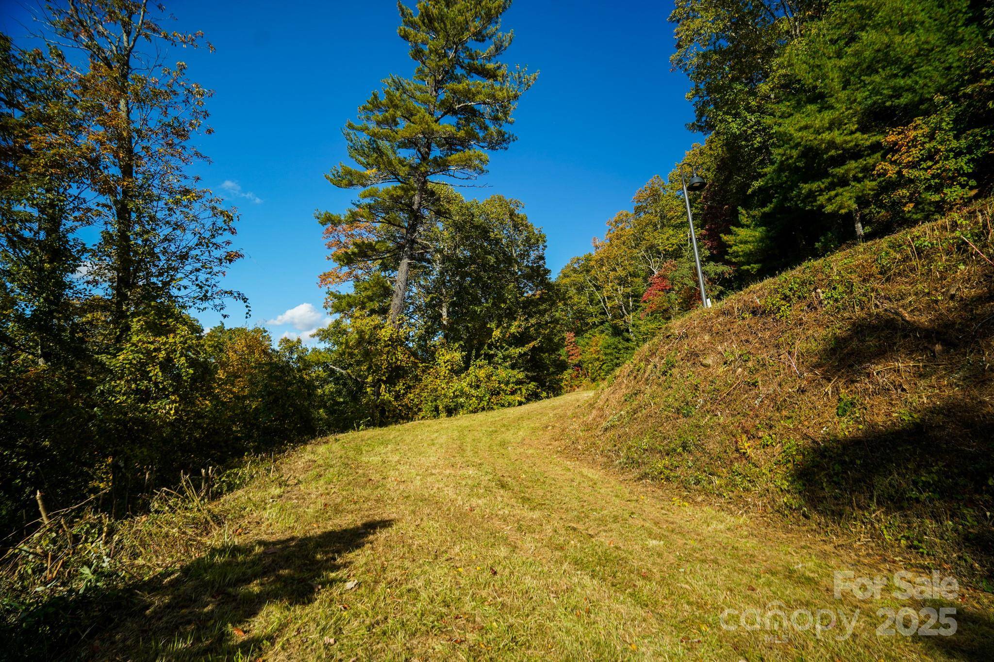 Asheville, NC 28804,9999 Falconwood LN #24