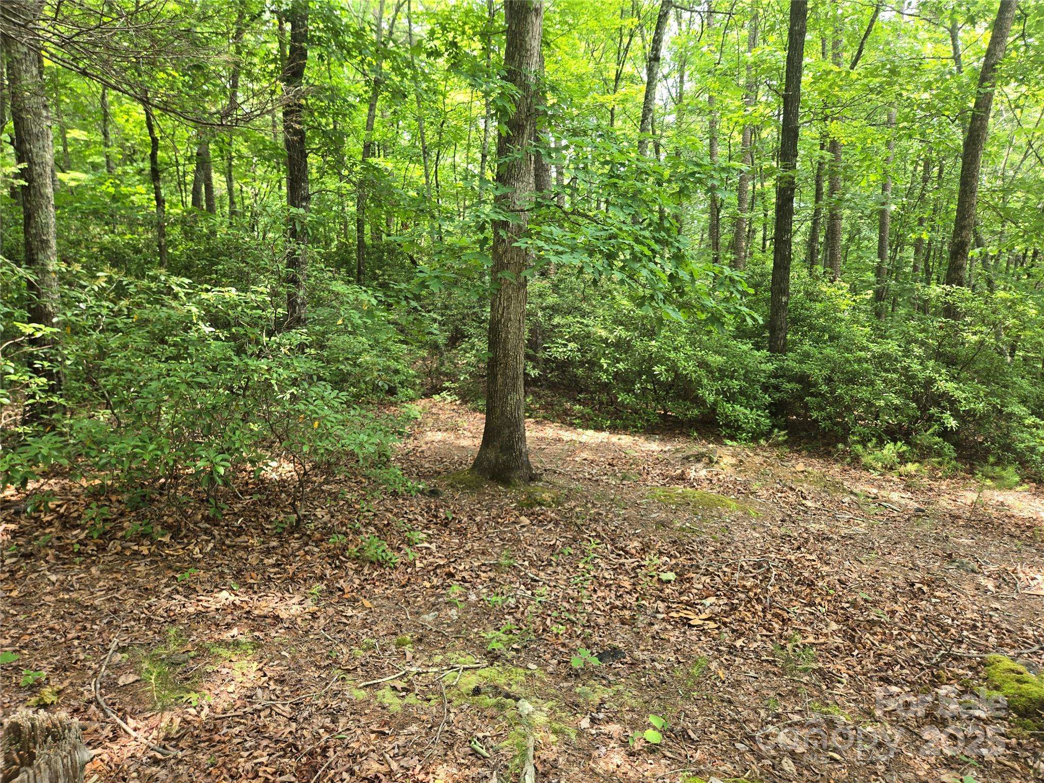 Lake Lure, NC 28746,Lot 159 Sullivan LN
