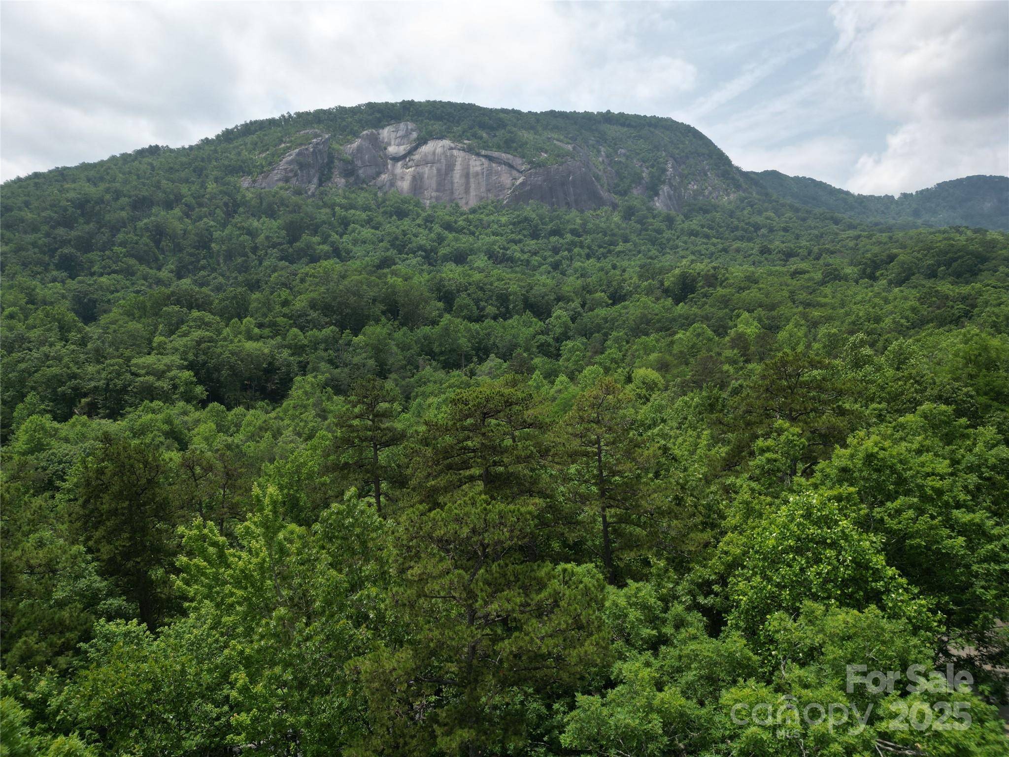 Lake Lure, NC 28746,Lot 159 Sullivan LN