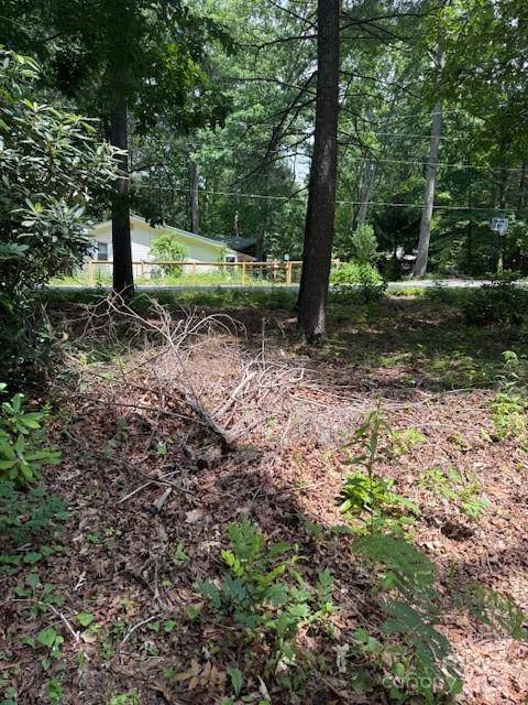 Black Mountain, NC 28711,99999 Laurel LN #2