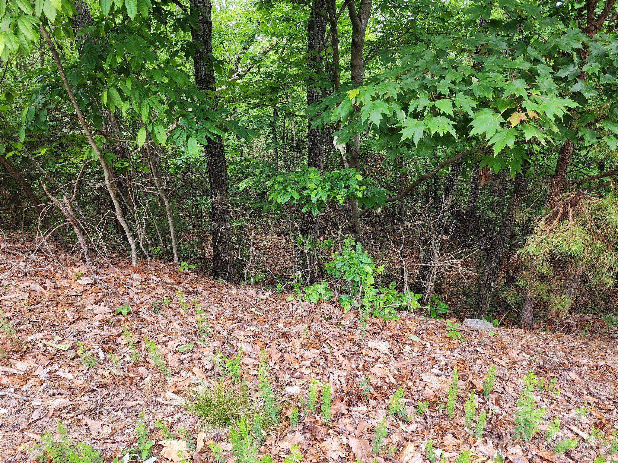 Mcgrady, NC 28649,TBD Derby Chase CT