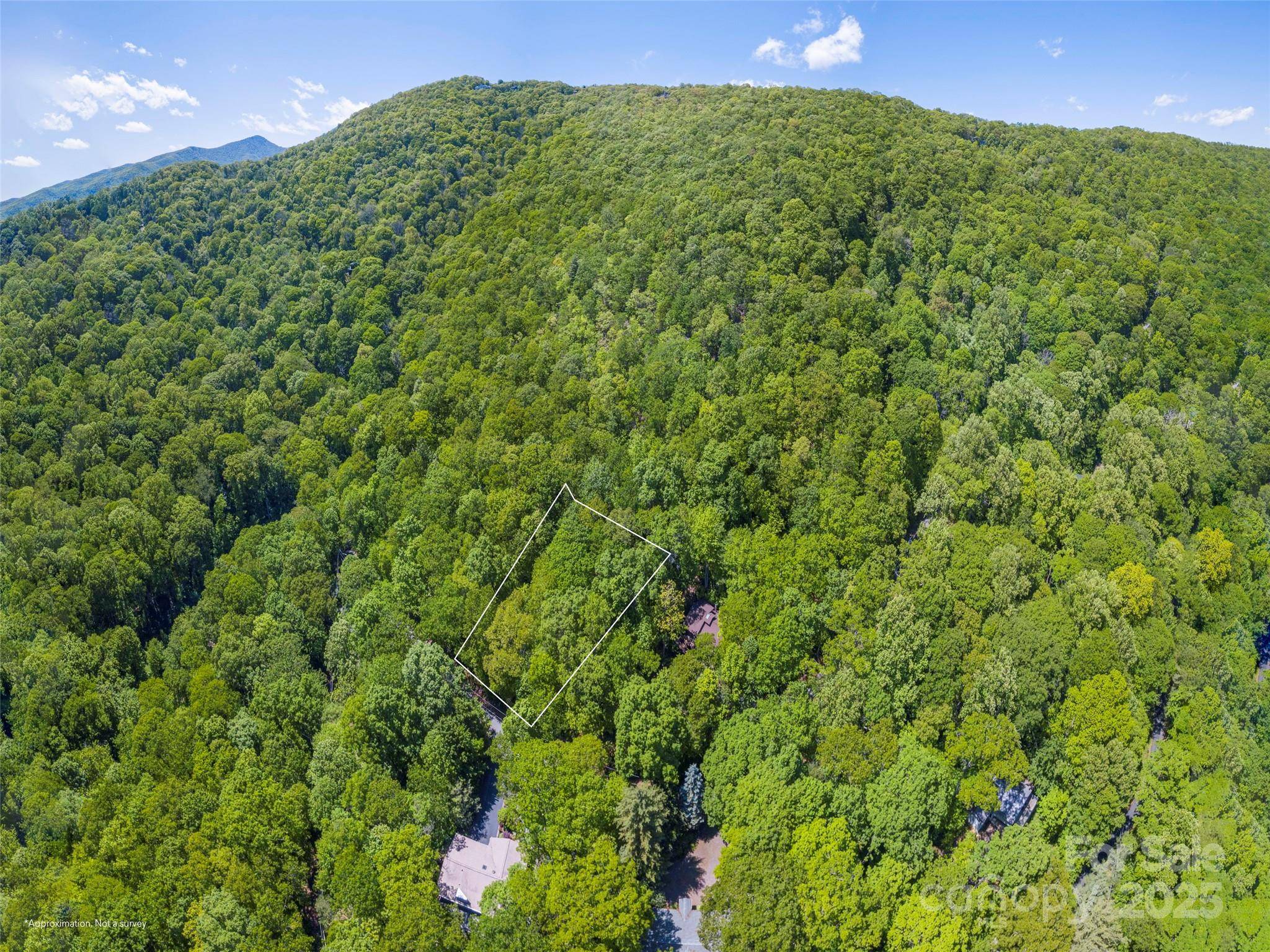 Waynesville, NC 28786,00 Skyline DR