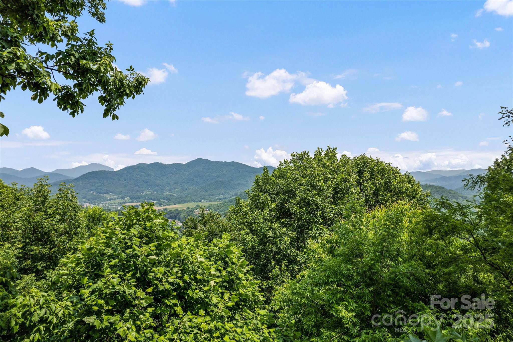 Maggie Valley, NC 28751,102 Coyote RDG