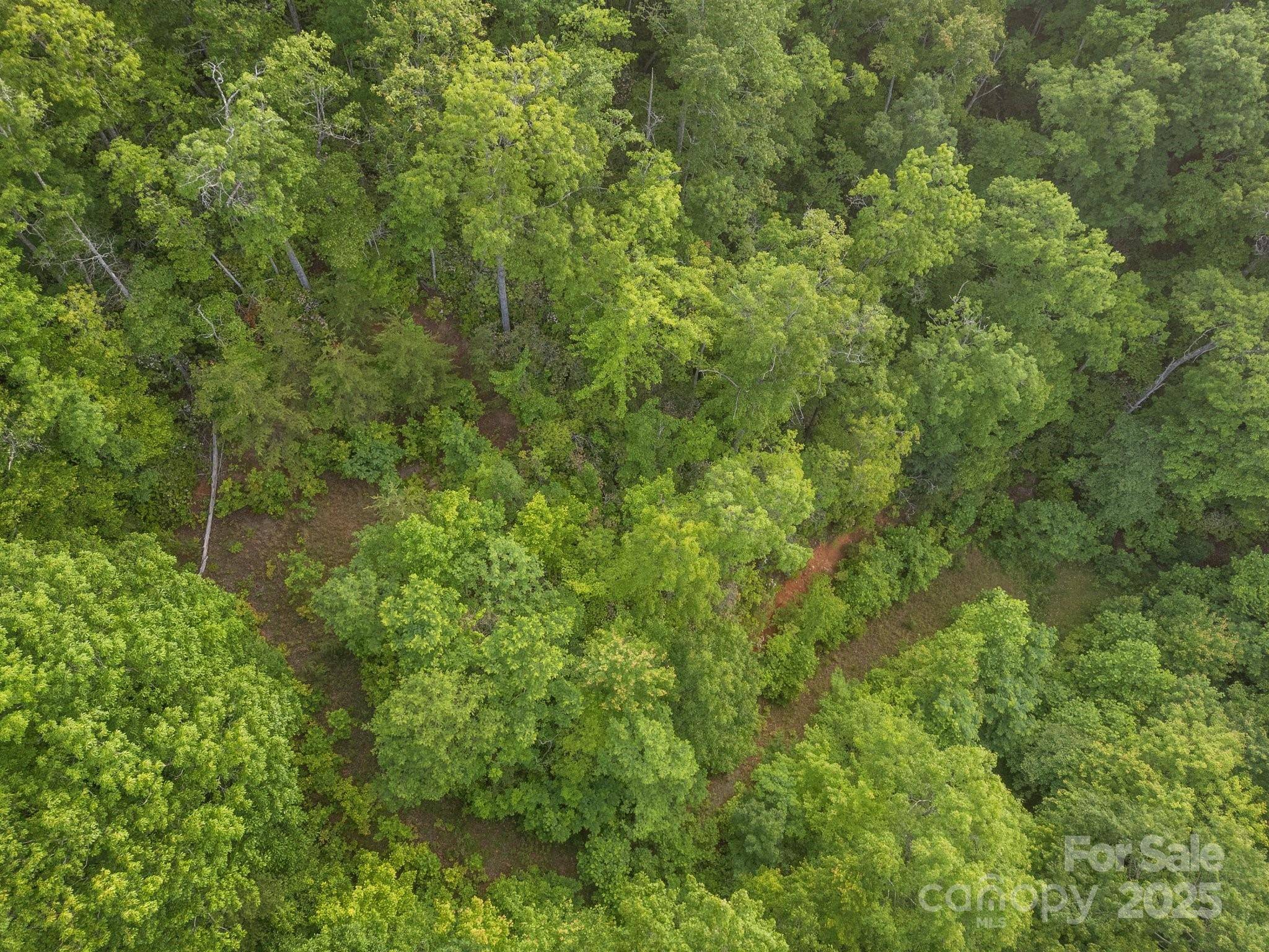 Sylva, NC 28779,10 Turkey Trot TRL