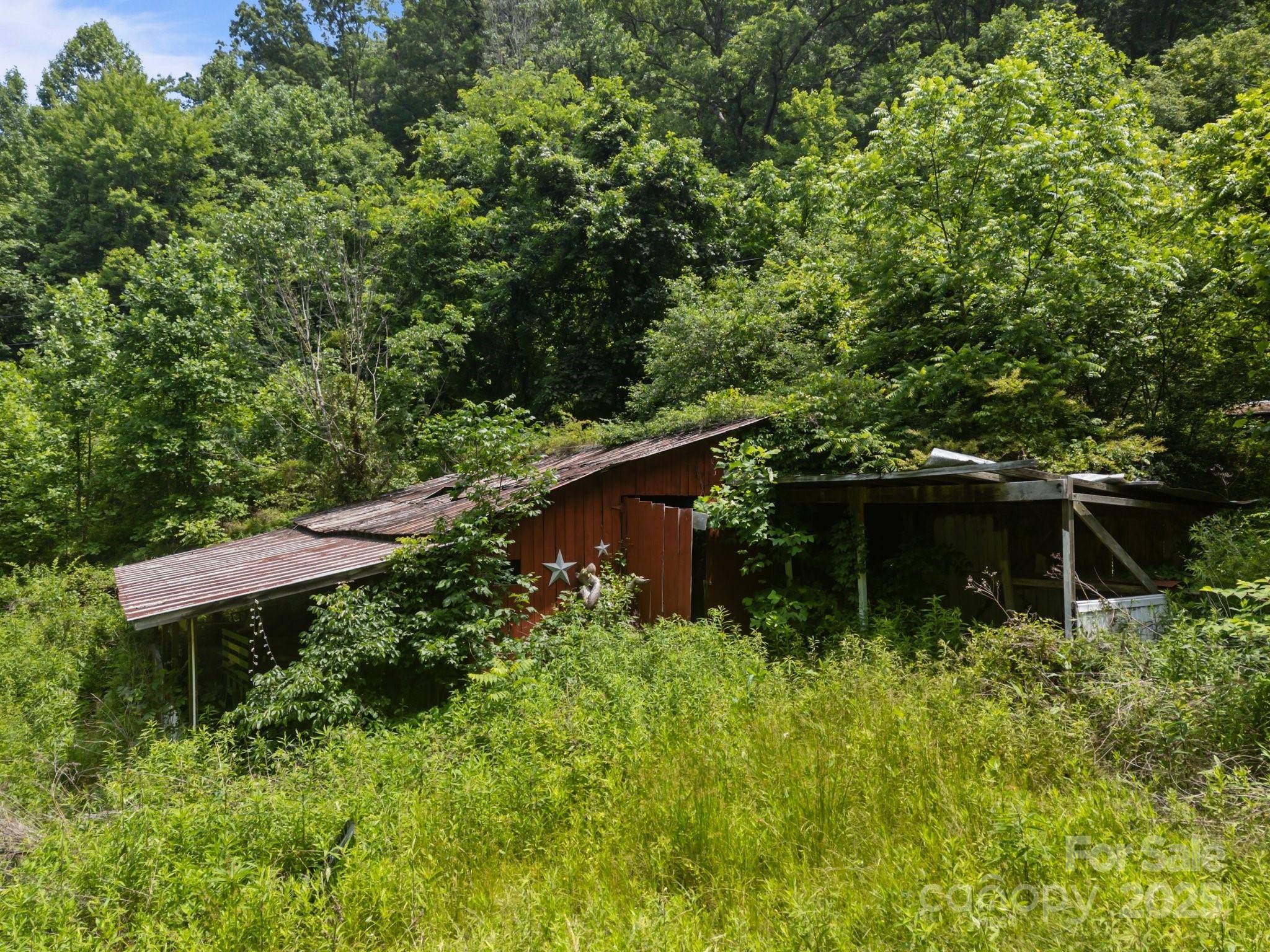 Leicester, NC 28748,99 Bridges Cove RD