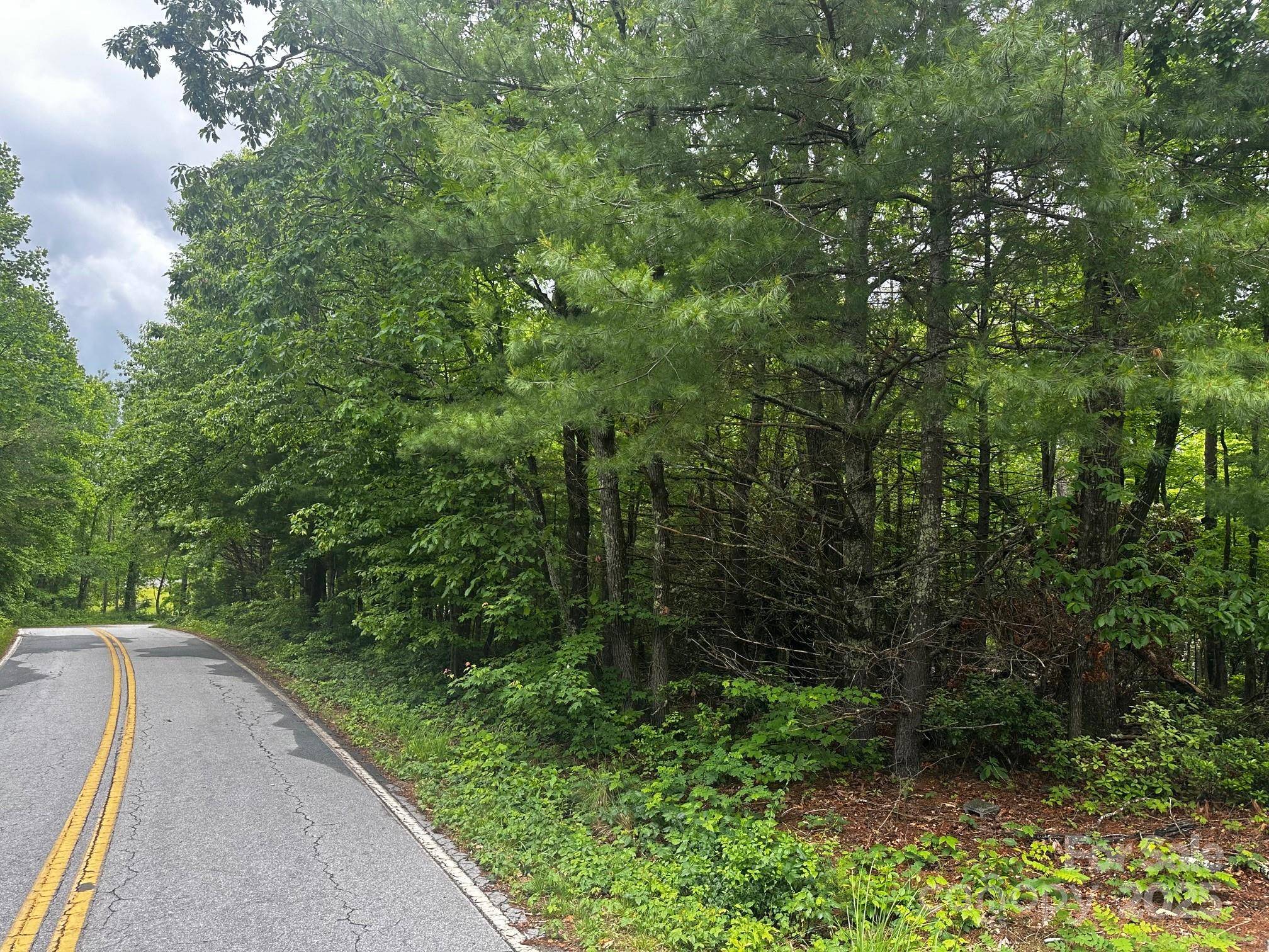 Black Mountain, NC 28711,784 Shumont RD