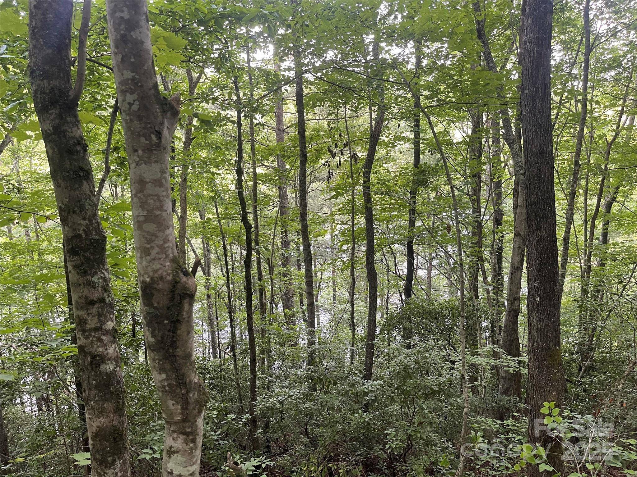 Tuckasegee, NC 28783,2642 Canada RD