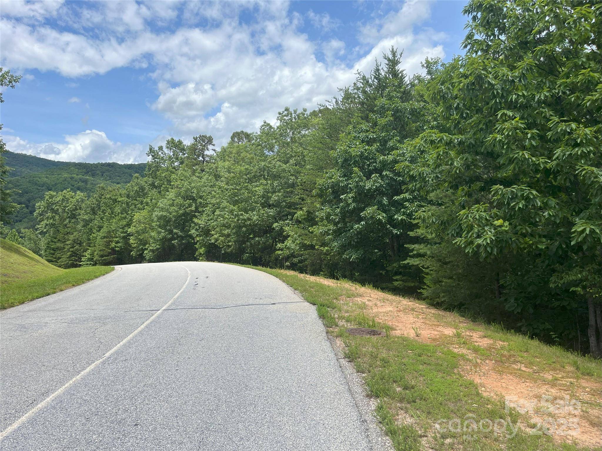 Mill Spring, NC 28756,00 Deep Gap RD E #59