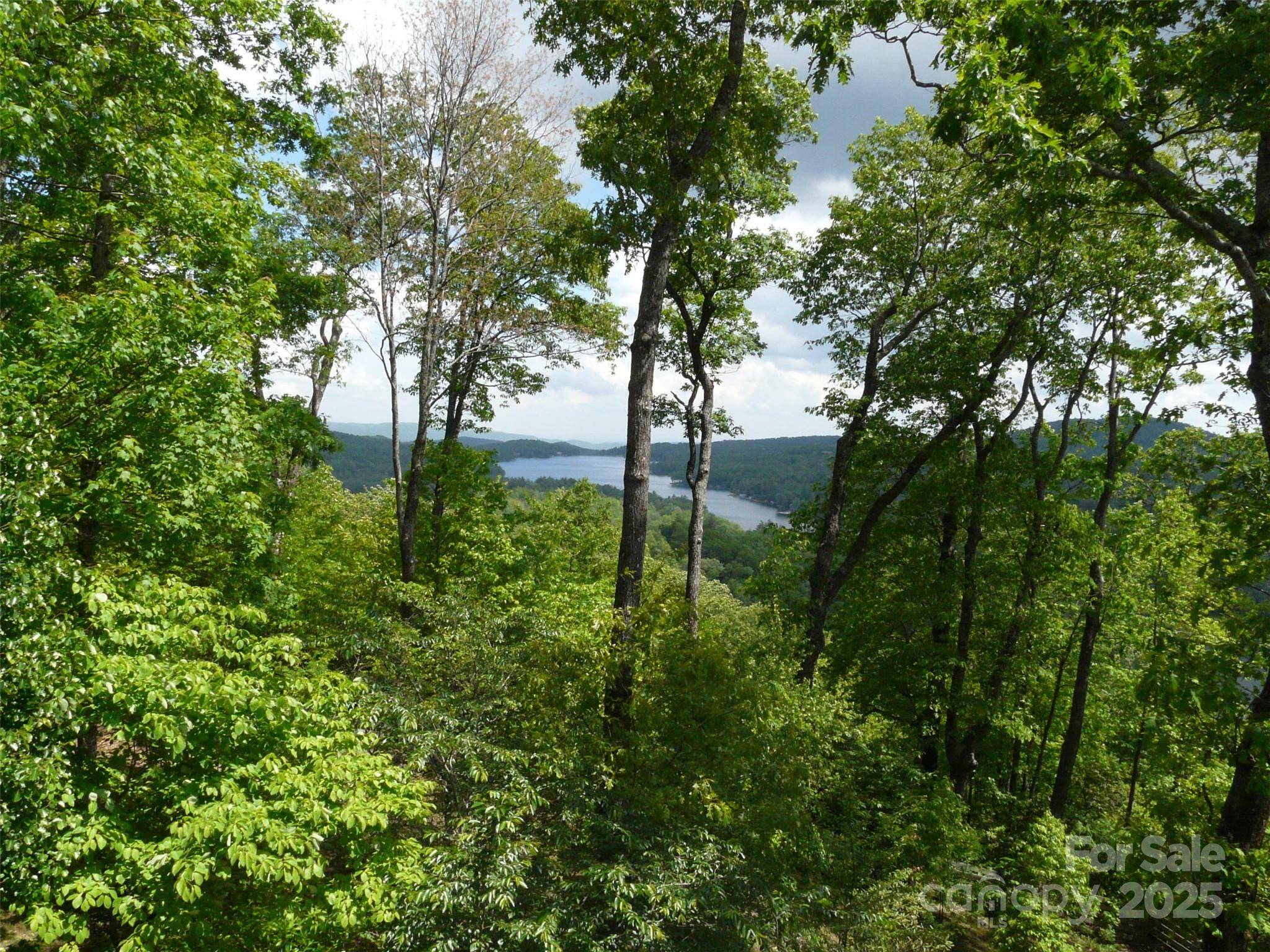 Lake Toxaway, NC 28747,PR 22R Panther Ridge RD