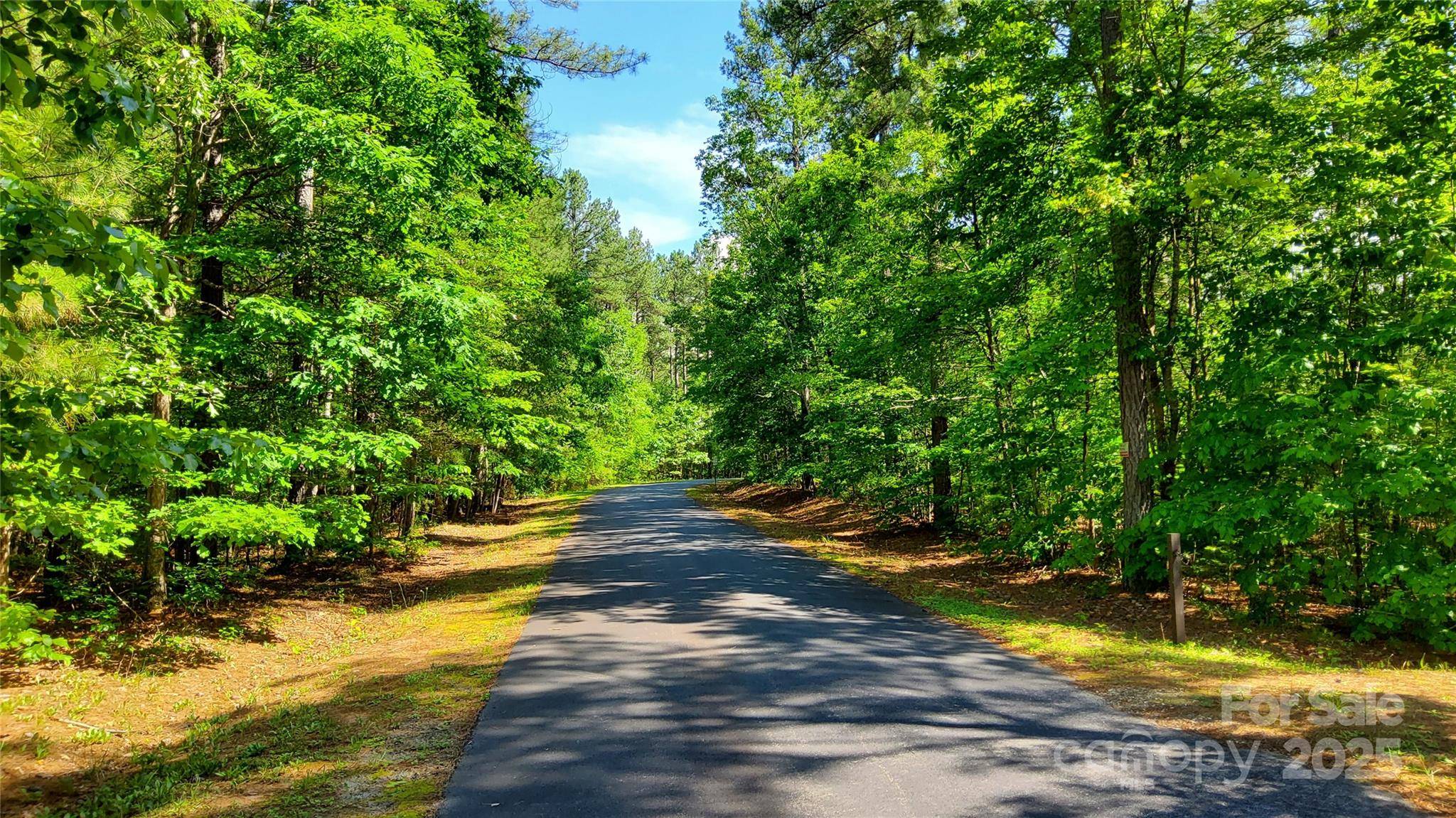 Mill Spring, NC 28756,23/24 Loblolly LN #23/24