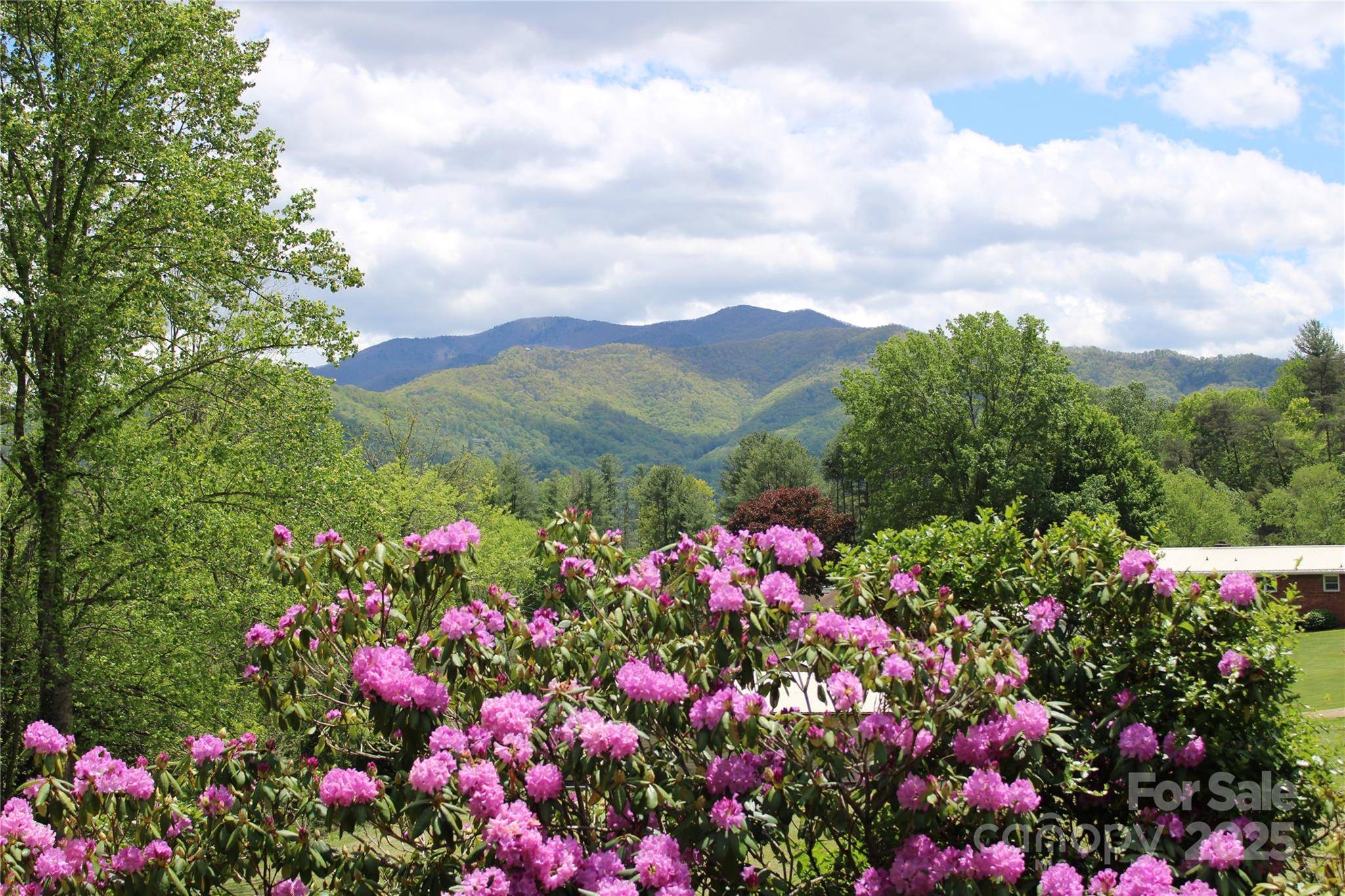 Waynesville, NC 28786,100 Bird Creek DR