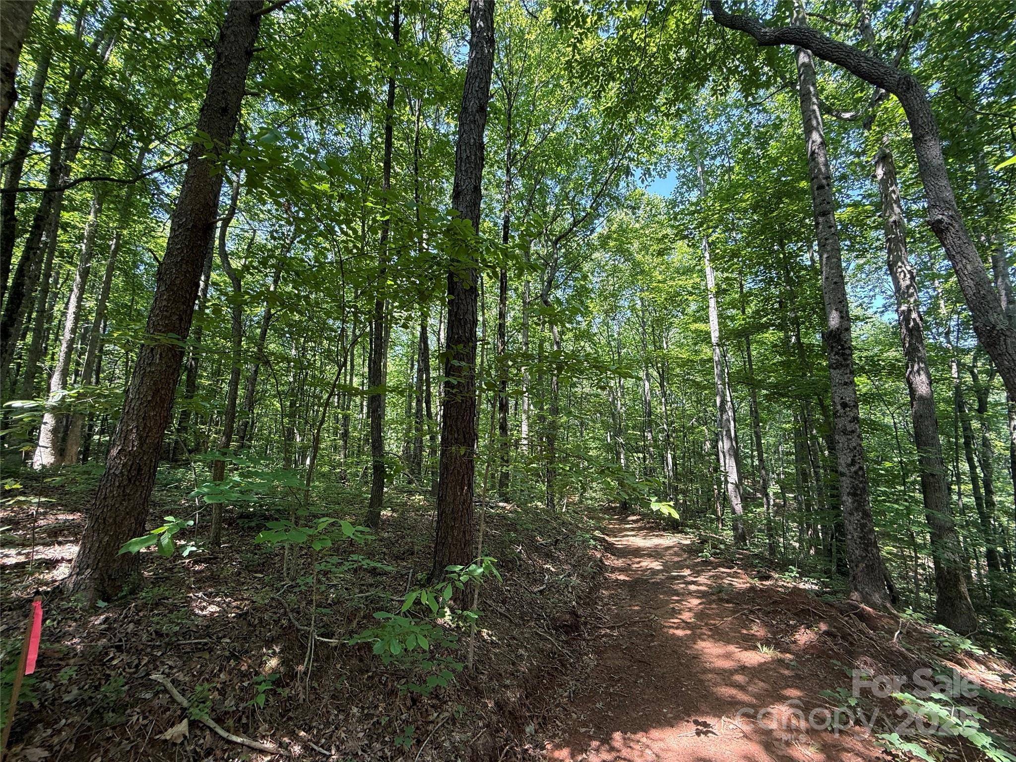 Saluda, NC 28773,Lot 13 Rhododendron DR #13