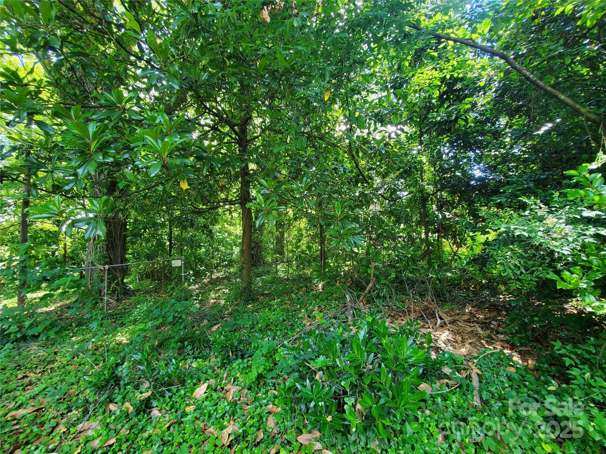 Charlotte, NC 28216,1909 Patton AVE