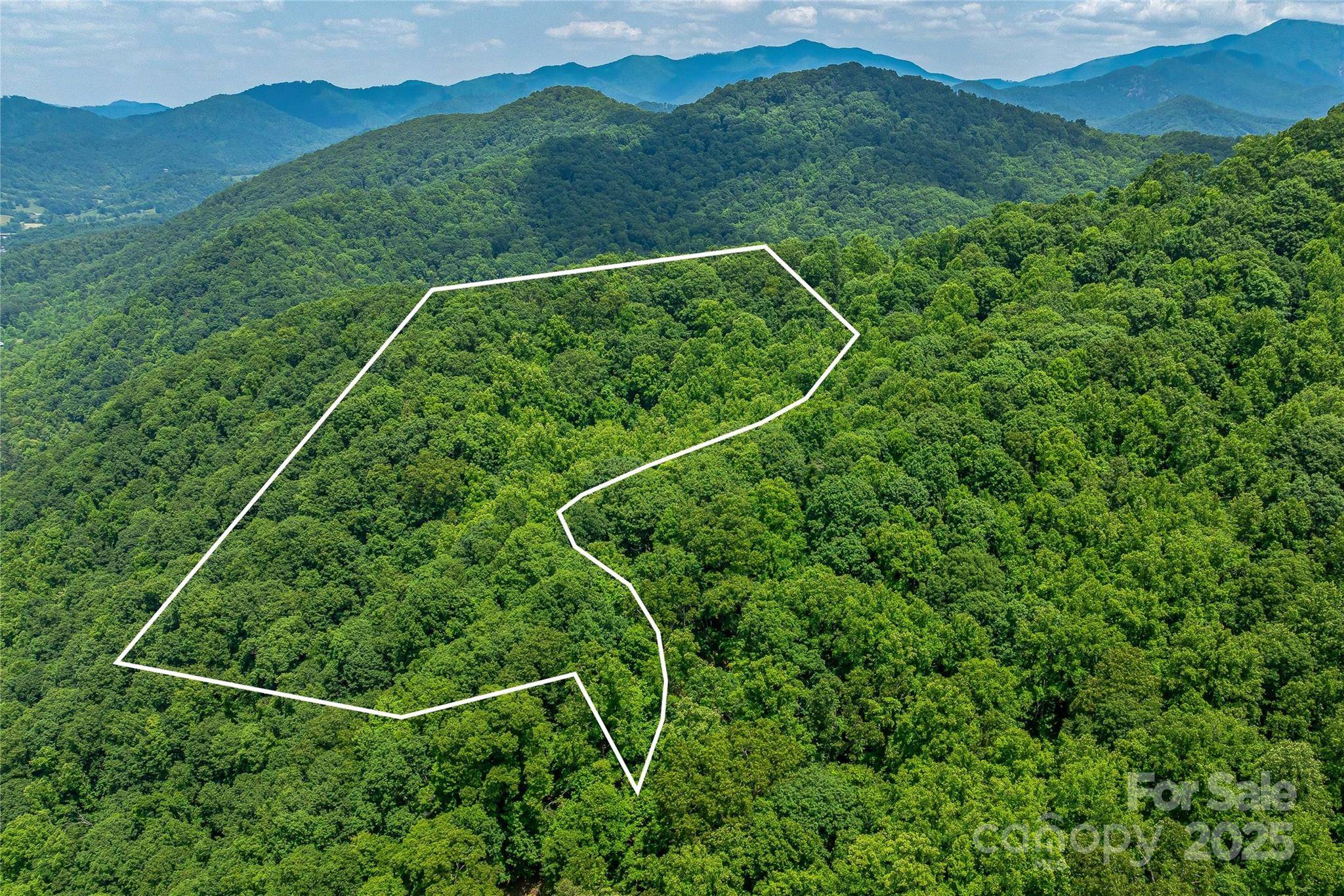 Barnardsville, NC 28709,99999 Countryside Estate