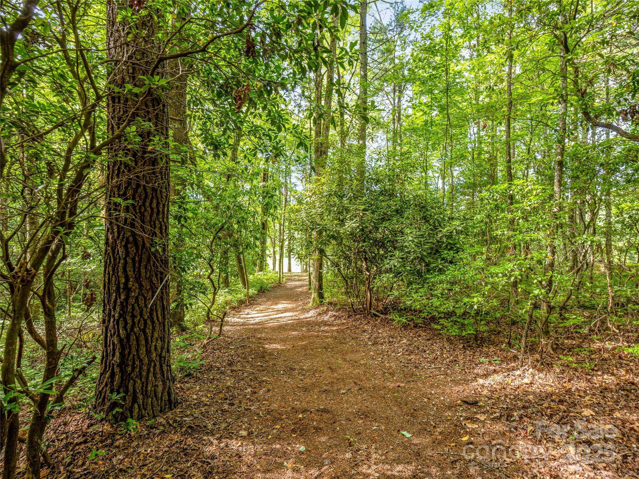 Lake Toxaway, NC 28747,J 35 Cherokee PT #35