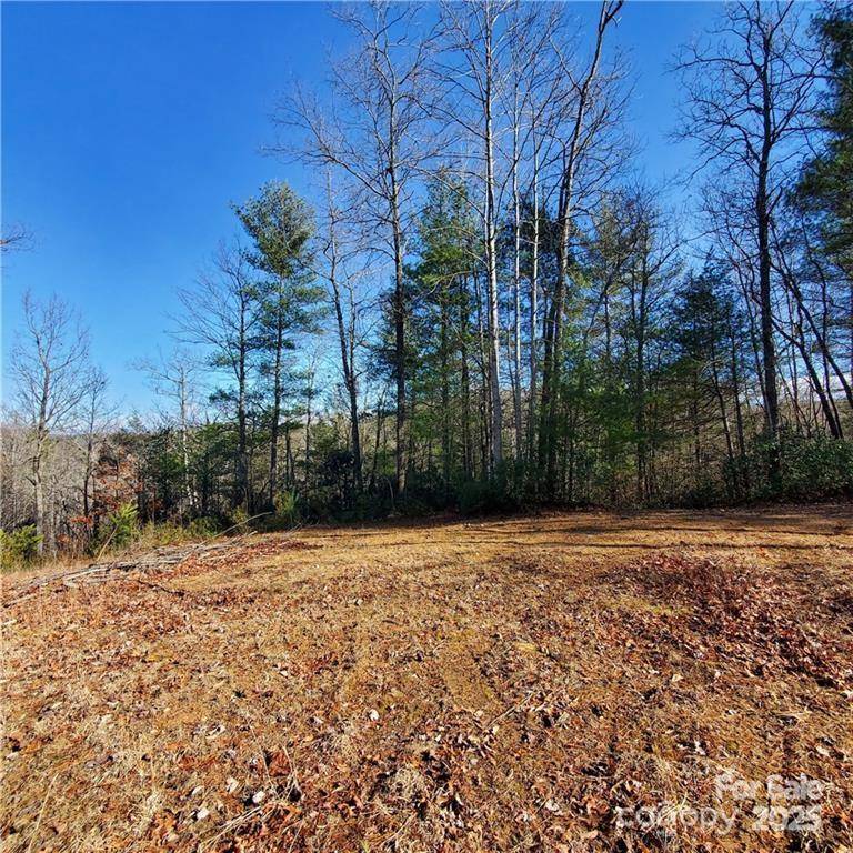 Lenoir, NC 28645,7902 Cat TRL
