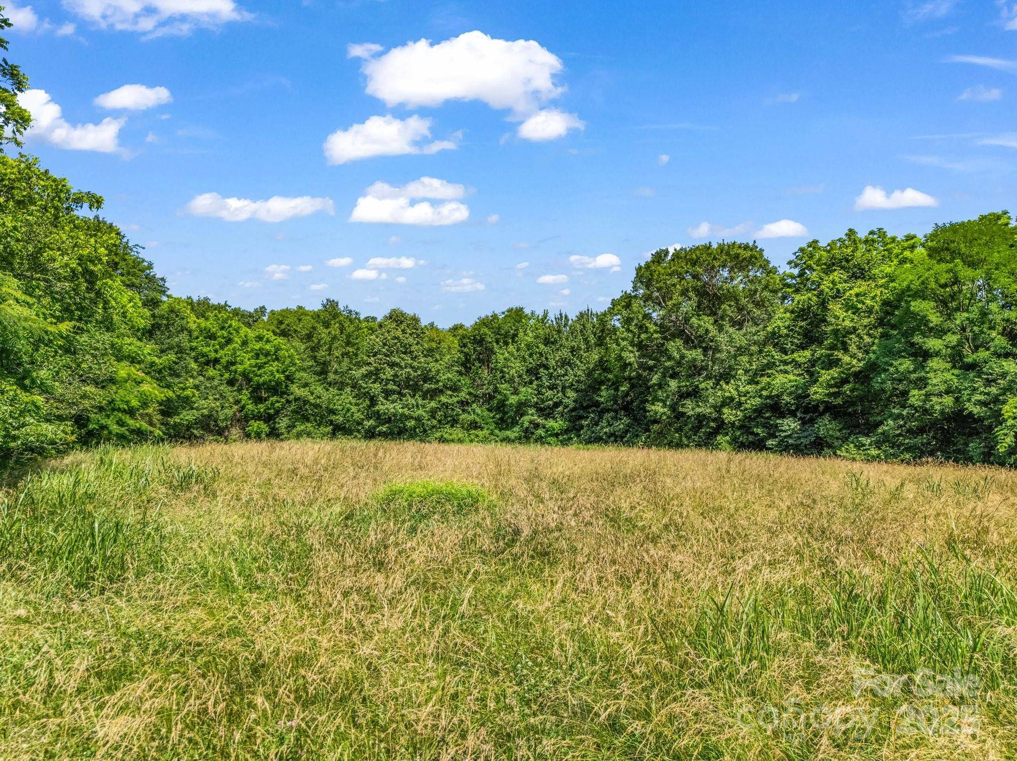 Mooresboro, NC 28114,4710 Ellenboro RD
