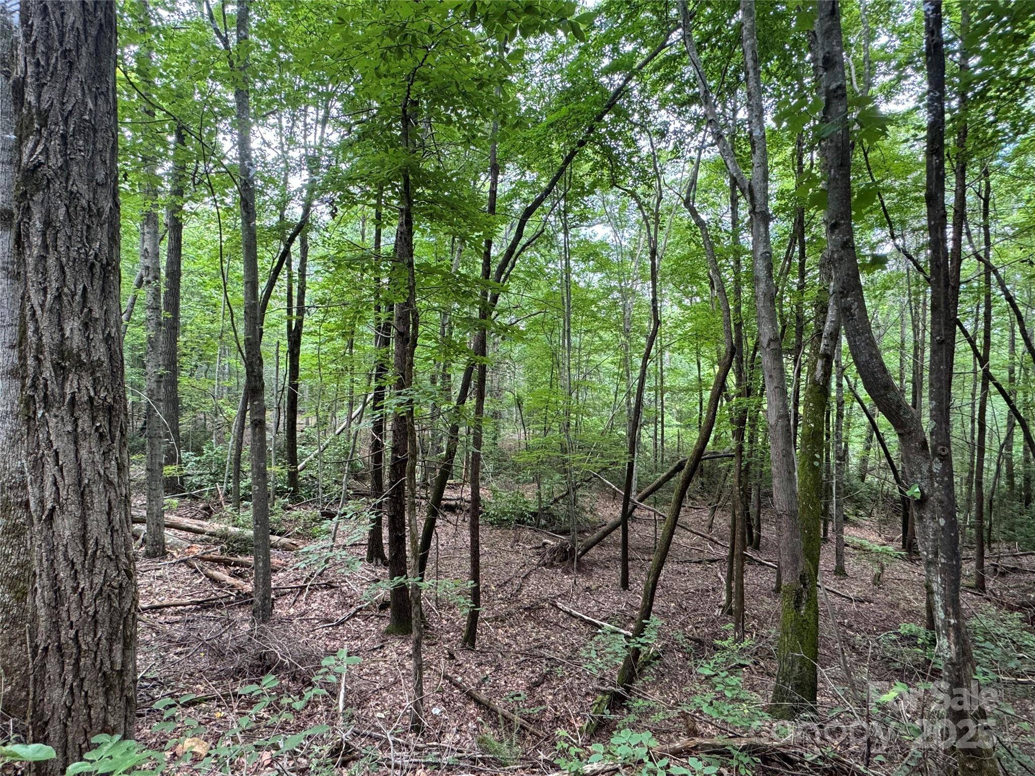 Lake Lure, NC 28746,0 Quail Ridge RD #216