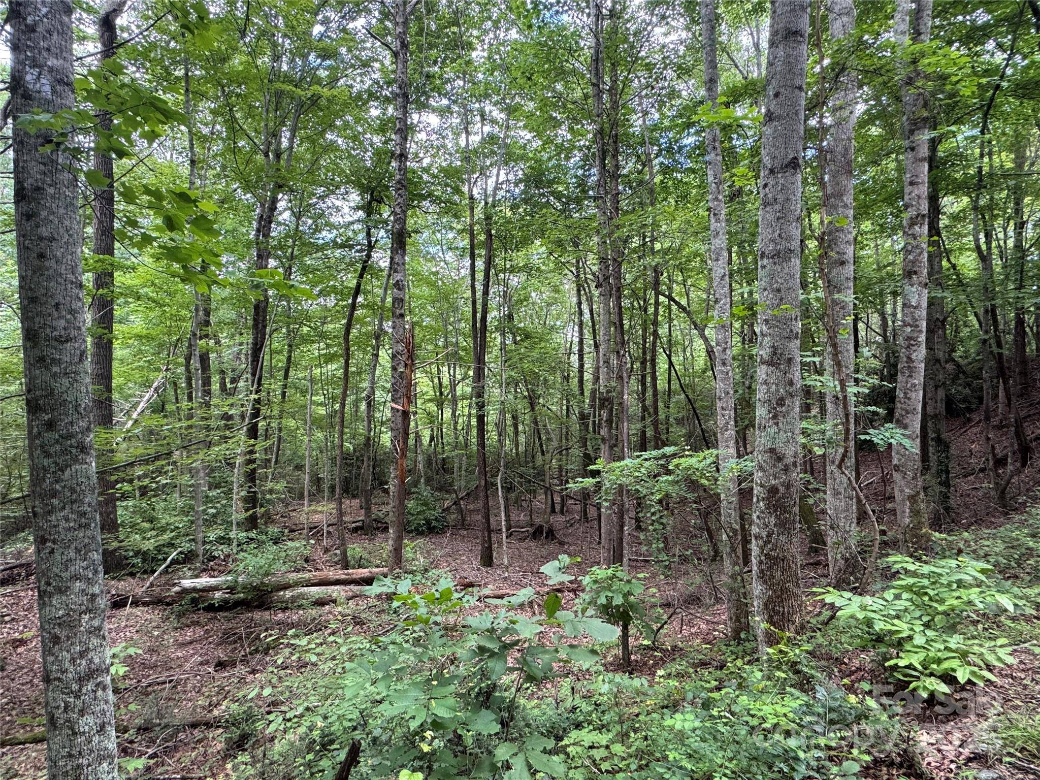 Lake Lure, NC 28746,0 Quail Ridge RD #216