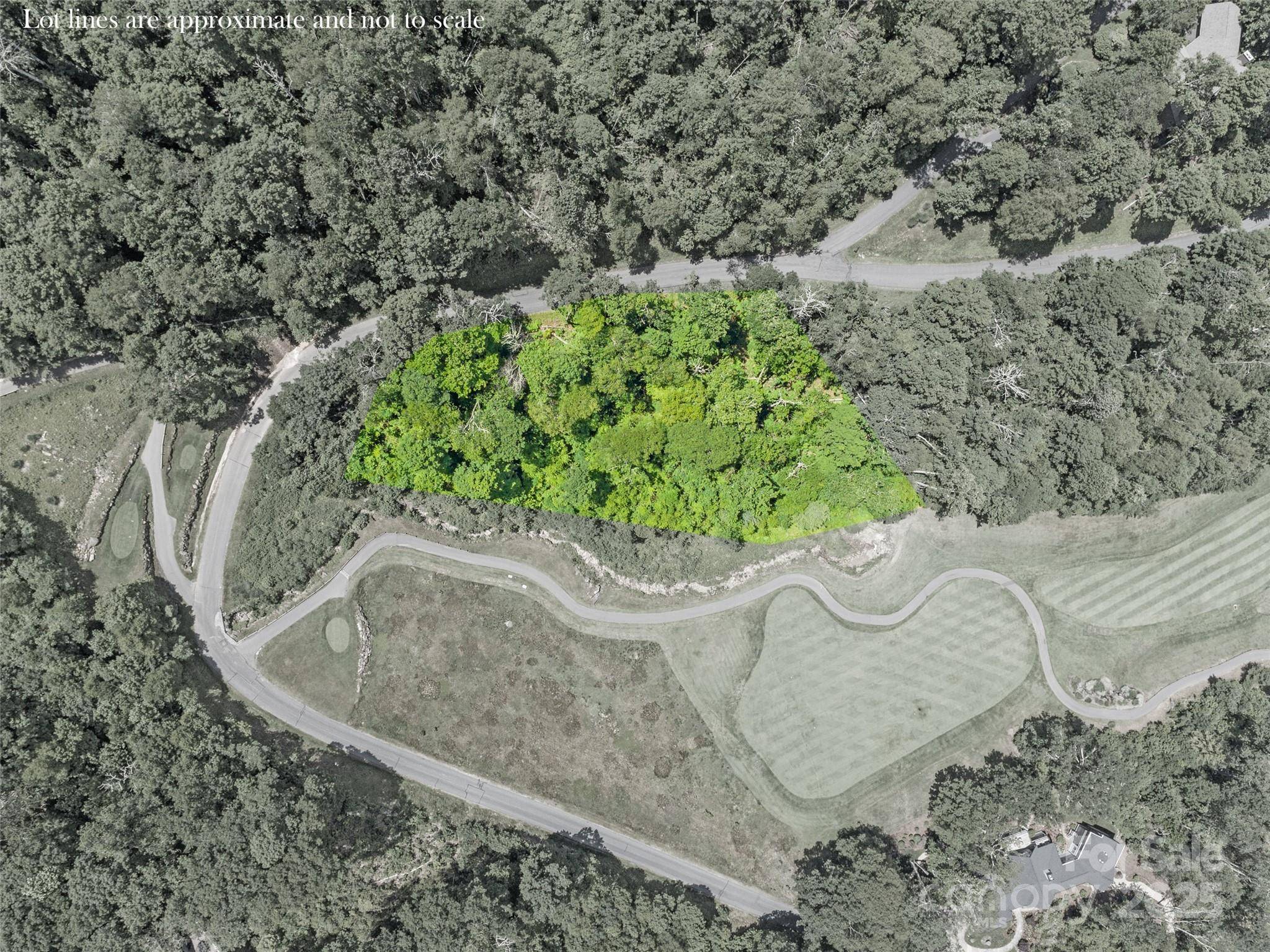 Burnsville, NC 28714,Lot 81 Ball Camp RD #81/1