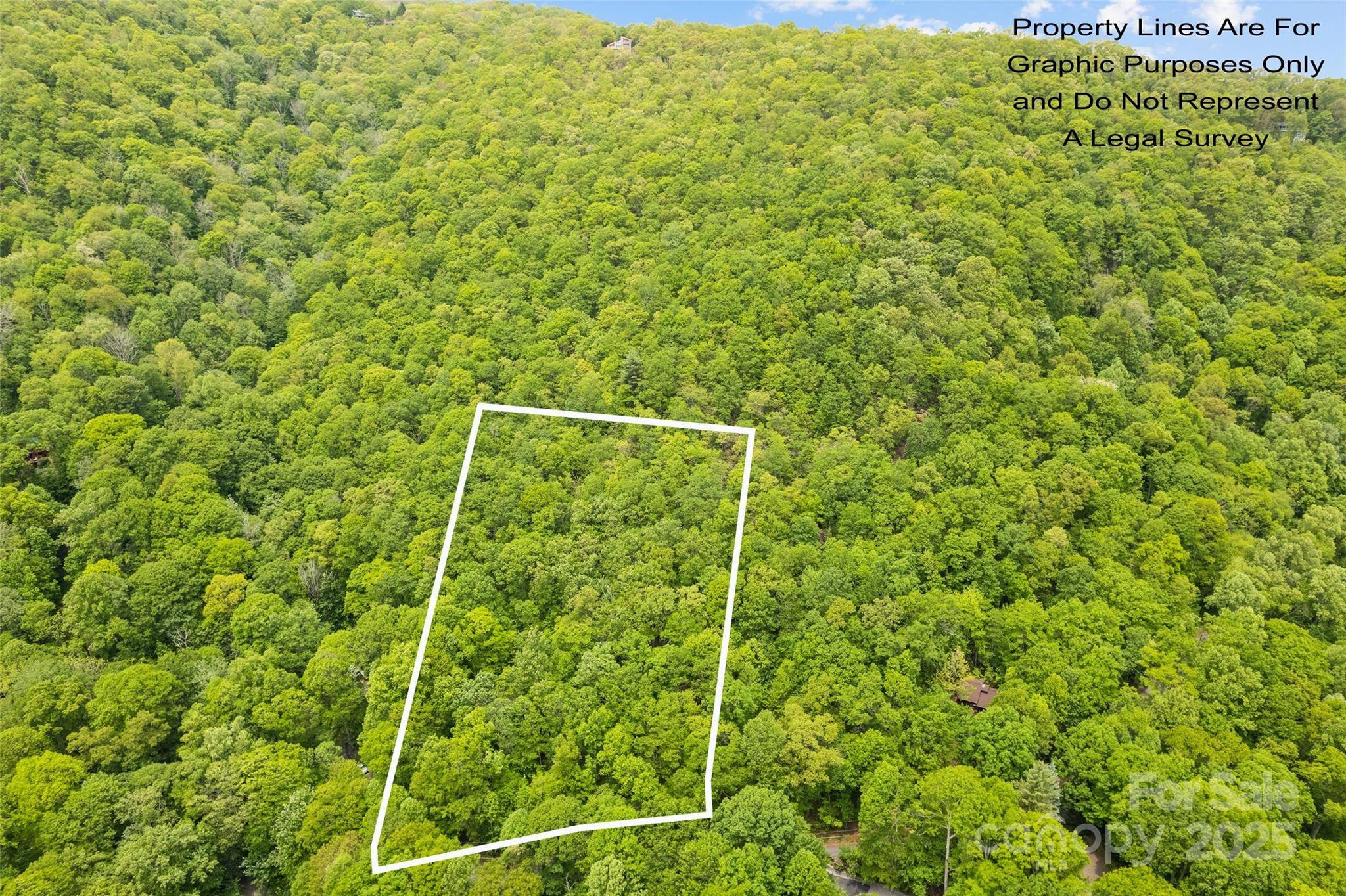 Waynesville, NC 28786,Lot 4 & 5 BLK 3 Skyline DR
