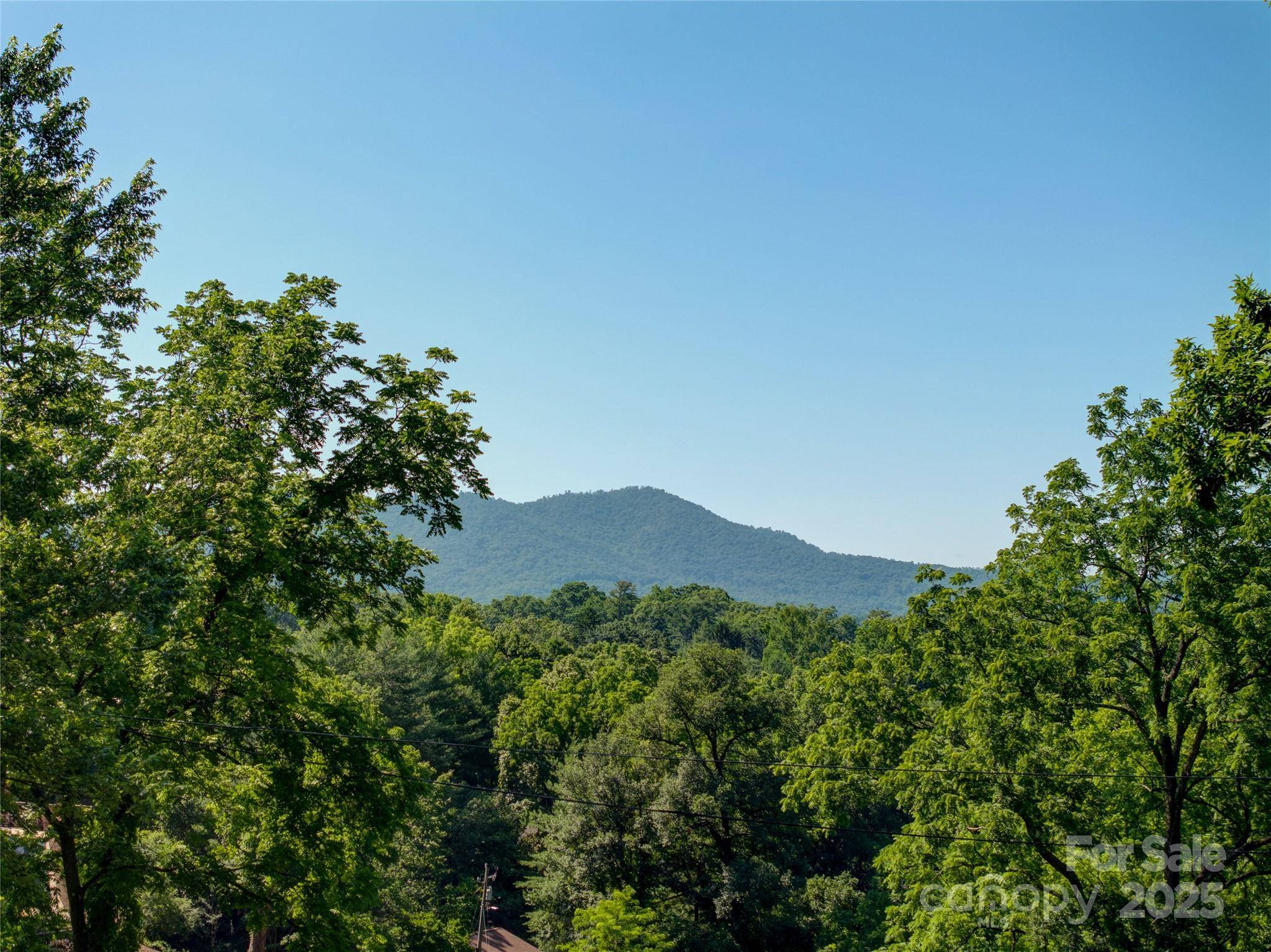 Asheville, NC 28803,123 Thurland AVE