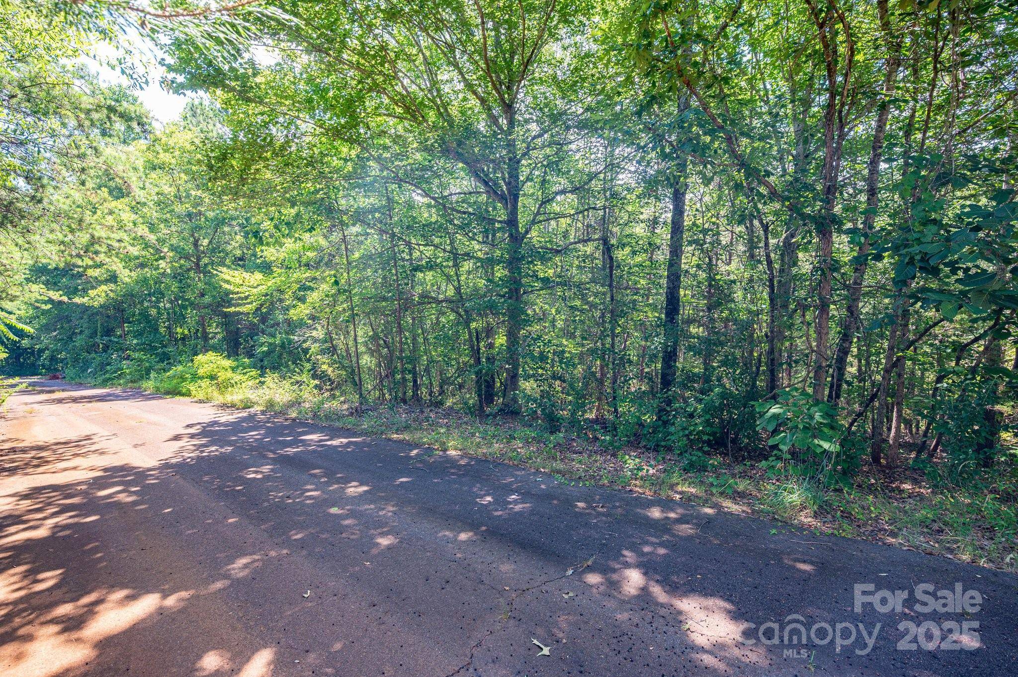 Rutherfordton, NC 28139,Lot # 16 Meadow Crossing DR