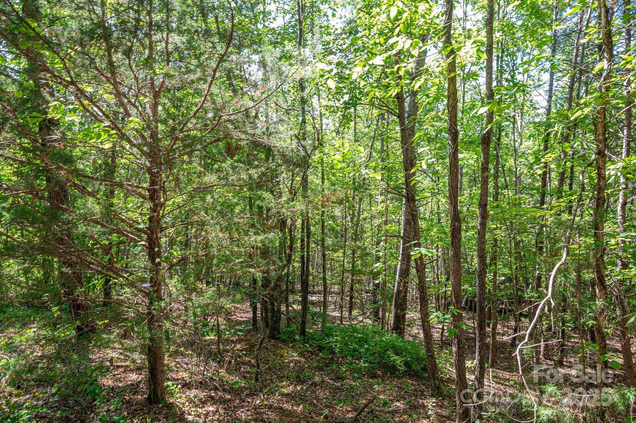 Rutherfordton, NC 28139,Lot #14 Meadow Crossing DR
