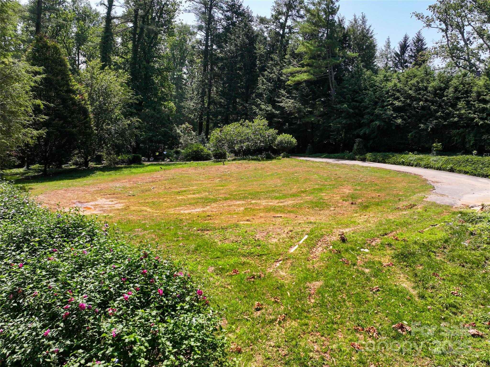 Asheville, NC 28803,59 Stuyvesant RD