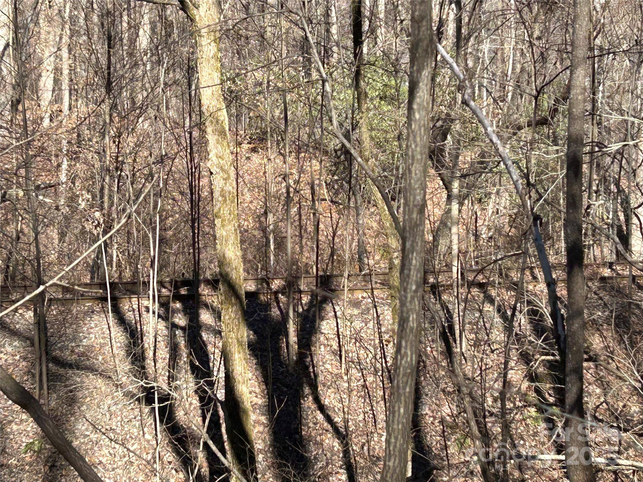 Tryon, NC 28782,TBD Country Club RD