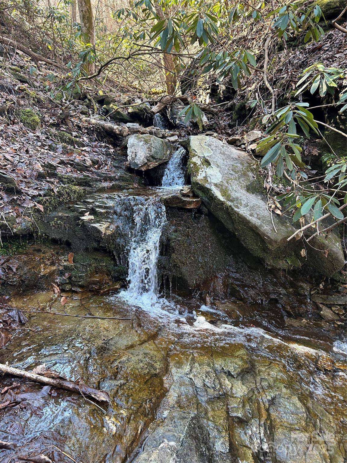 Tryon, NC 28782,TBD Country Club RD