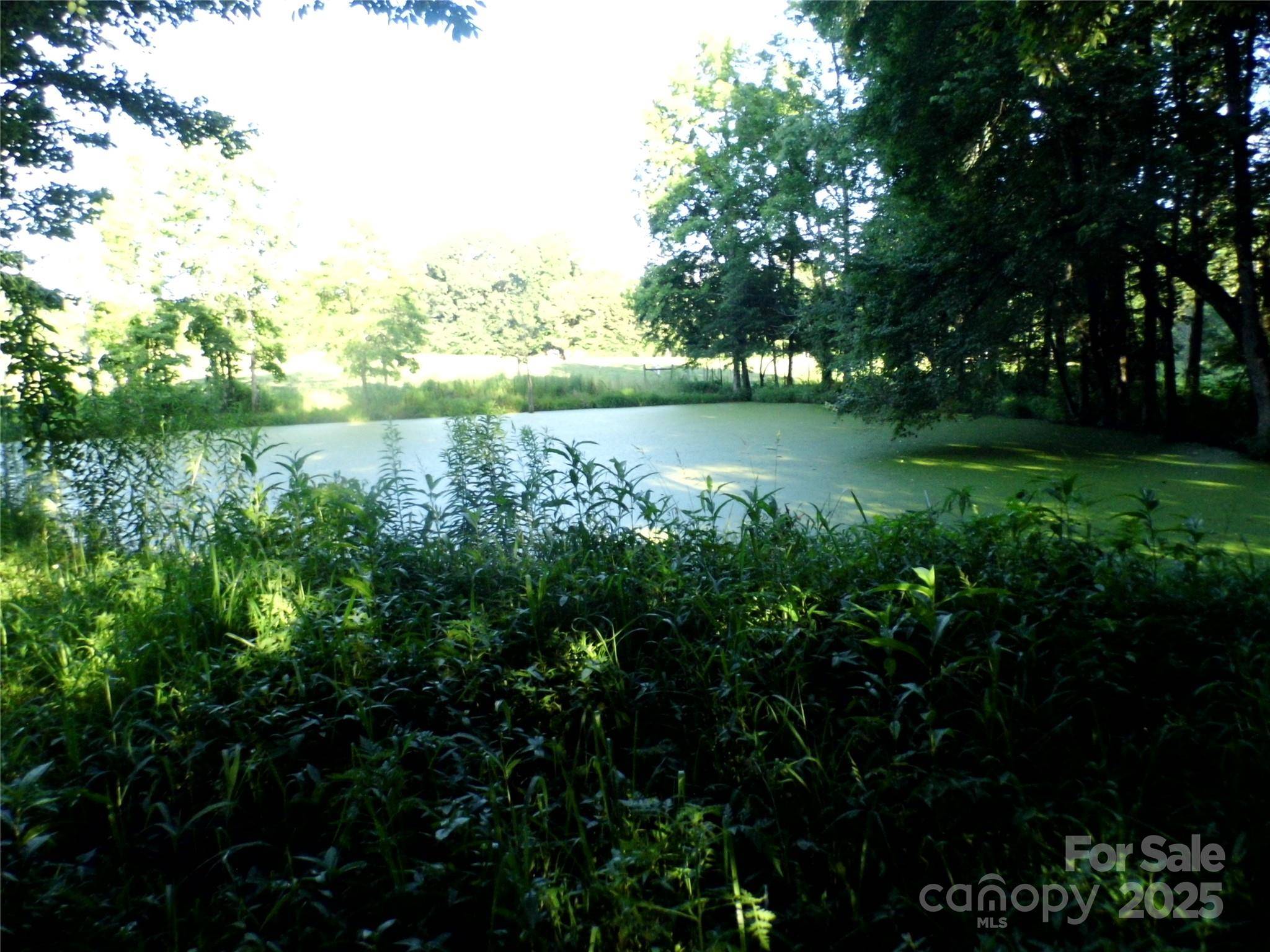 Wingate, NC 28174,00 Belk Mill RD