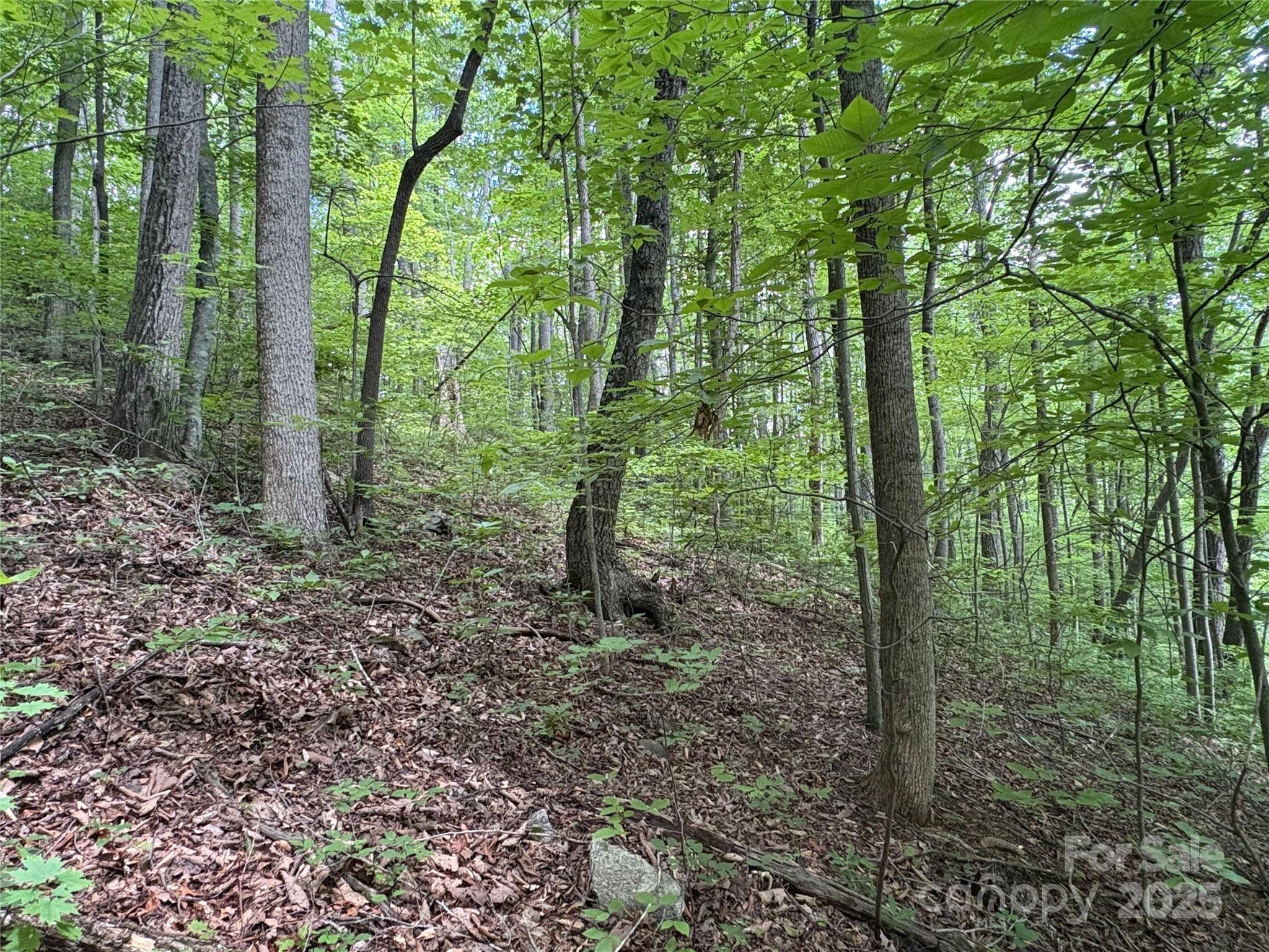 Waynesville, NC 28785,TBD Upward WAY #236 & 237