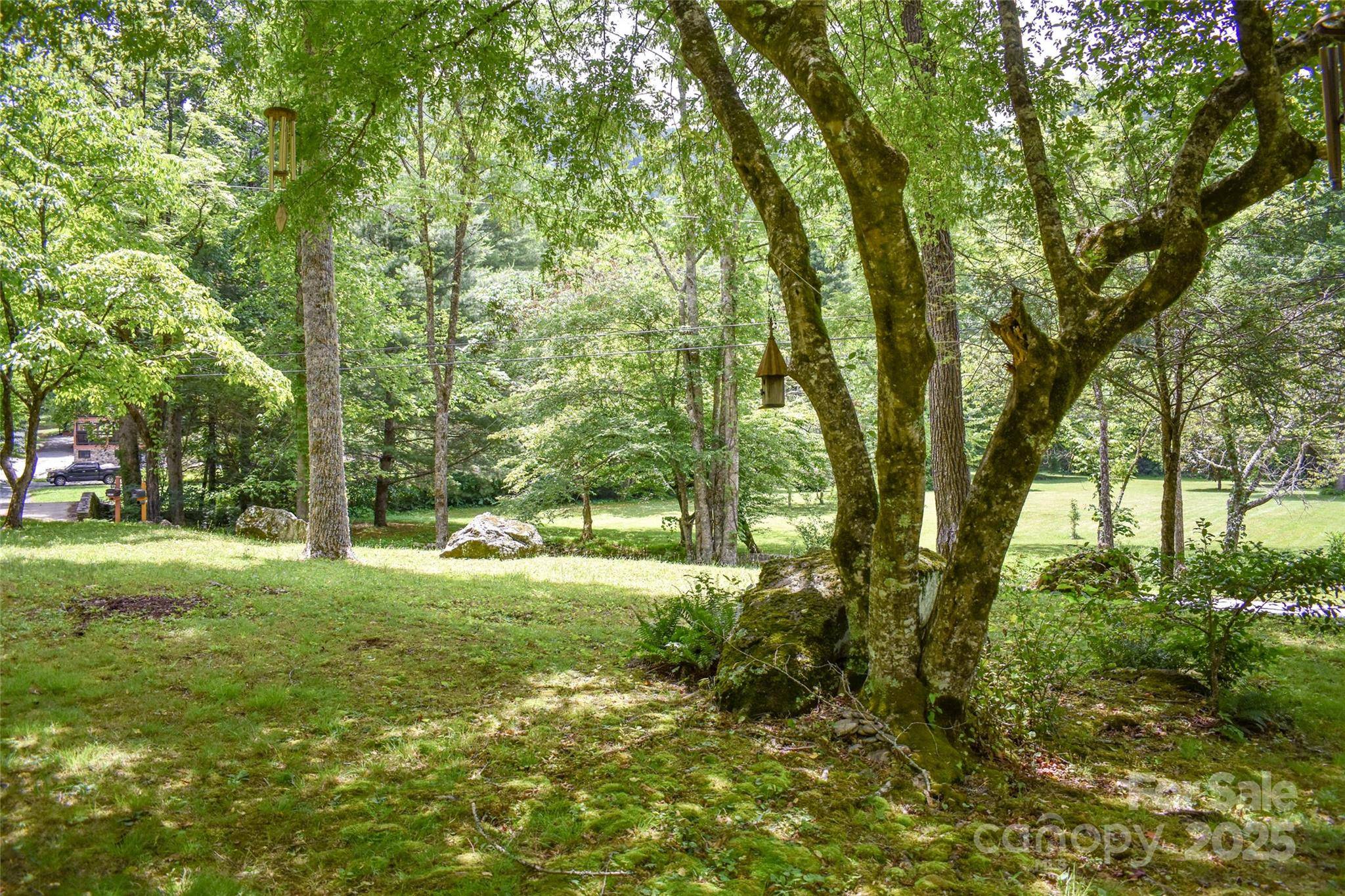 Whittier, NC 28789,3435 Conleys Creek RD