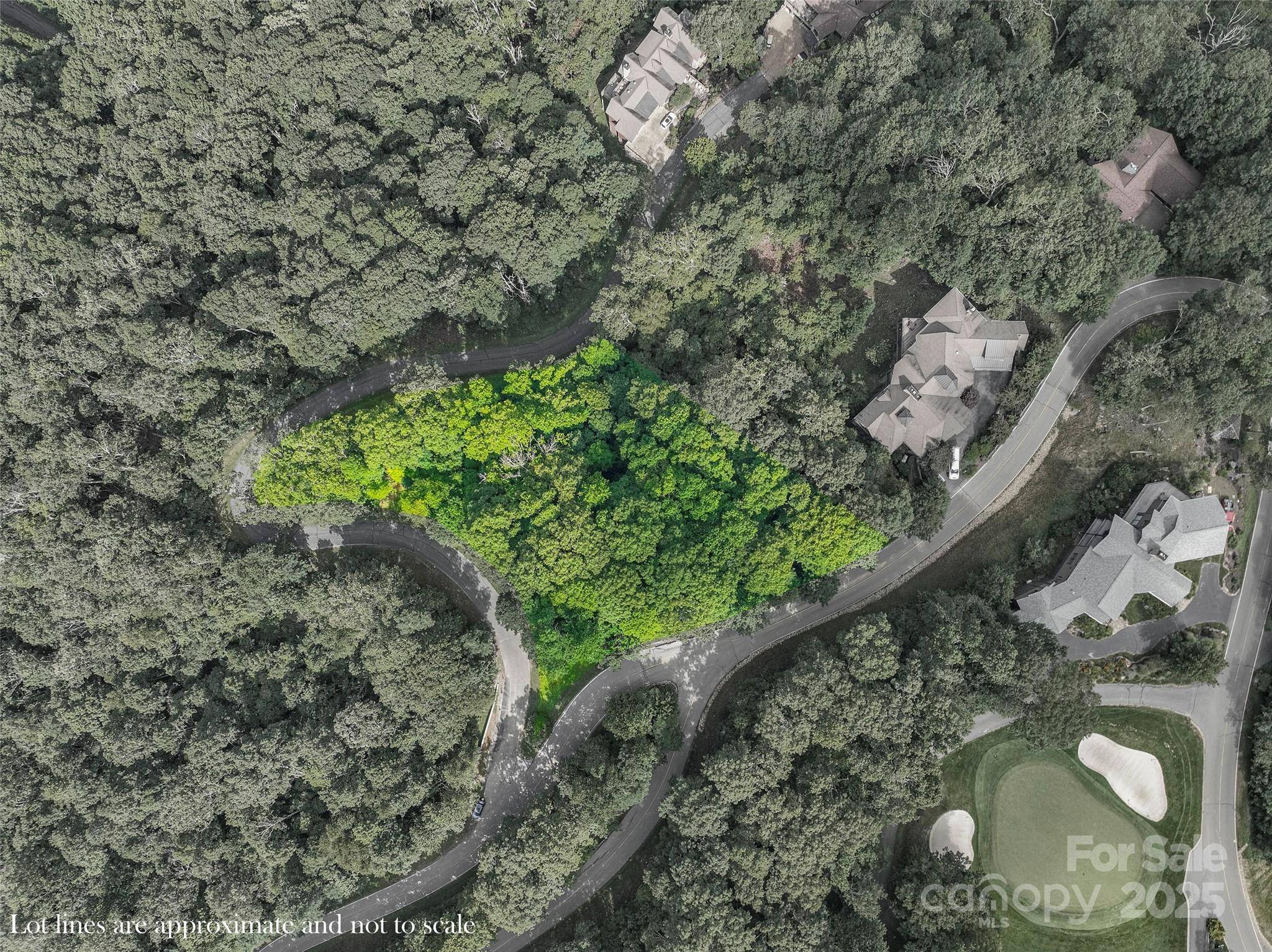 Burnsville, NC 28714,Lot 2 Ball Hooter RD #2/6