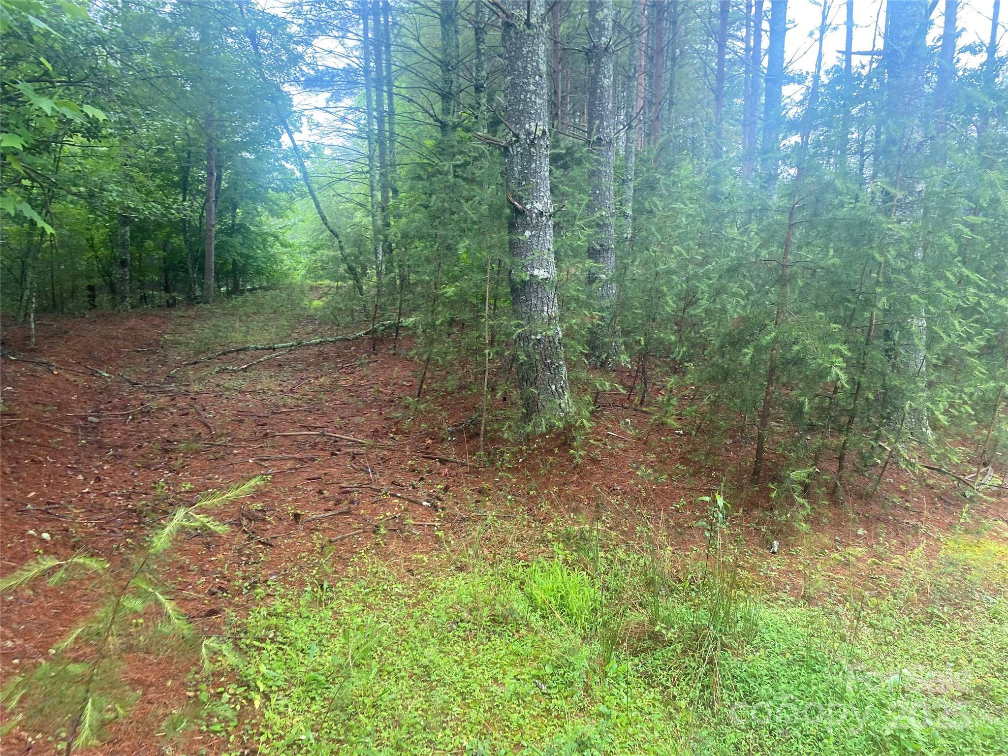 Nebo, NC 28761,V/L Hunt Camp DR #59
