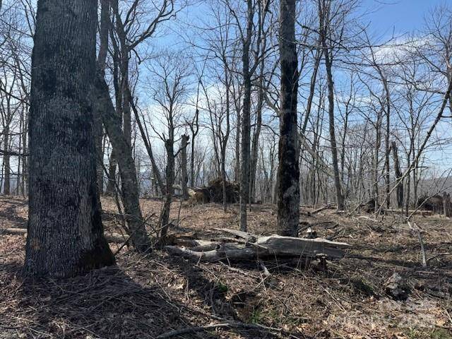 Mars Hill, NC 28754,389 McKinney Gap RD
