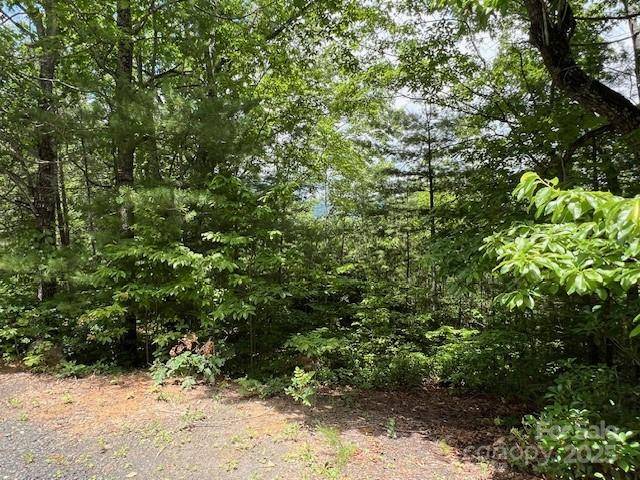 Marion, NC 28752,Lot 35A N Oakwood DR #35A