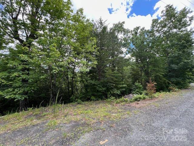 Marion, NC 28752,Lot 35A N Oakwood DR #35A