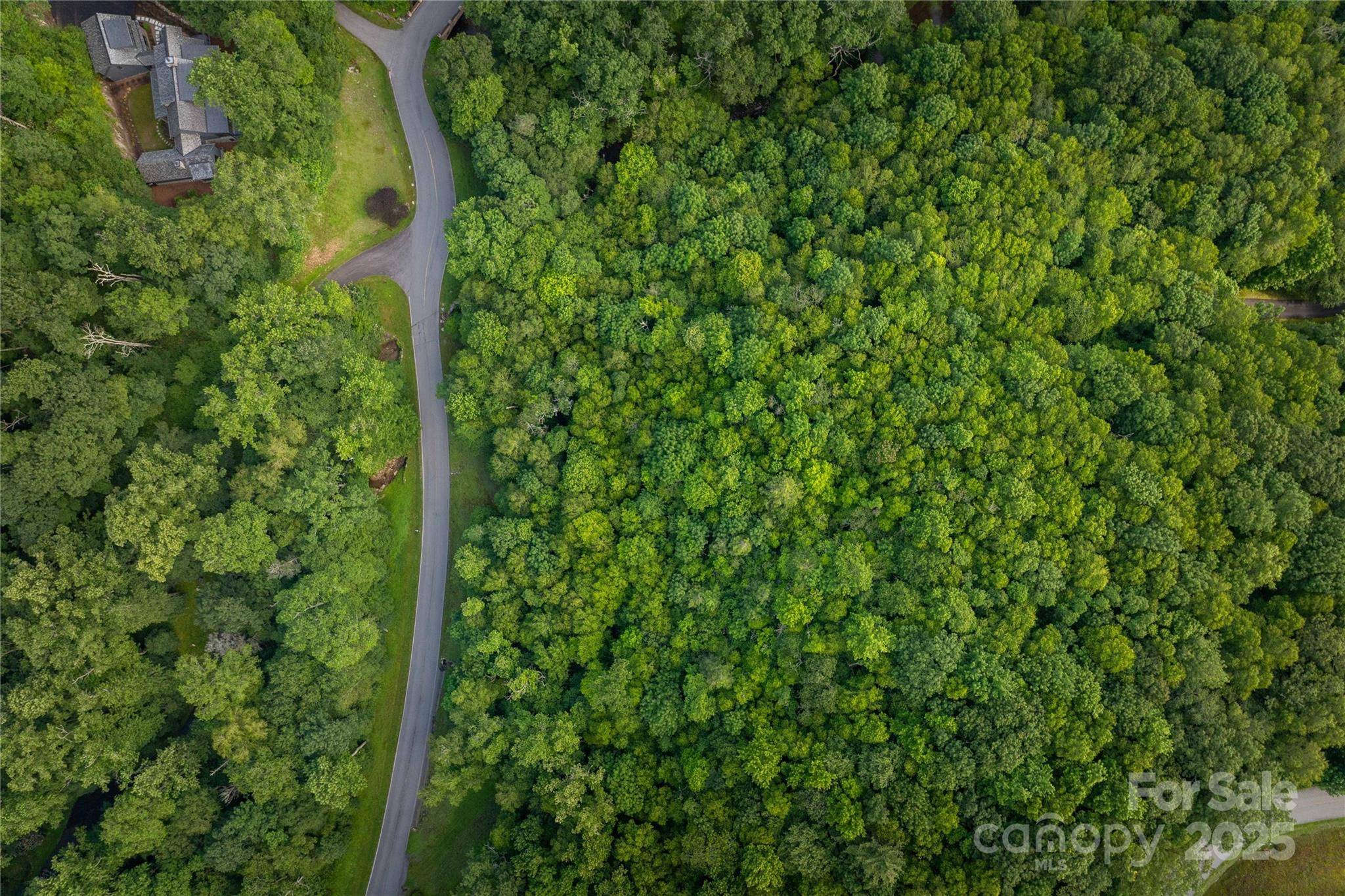 Blowing Rock, NC 28605,TBD Lot 106 Firethorn TRL #106