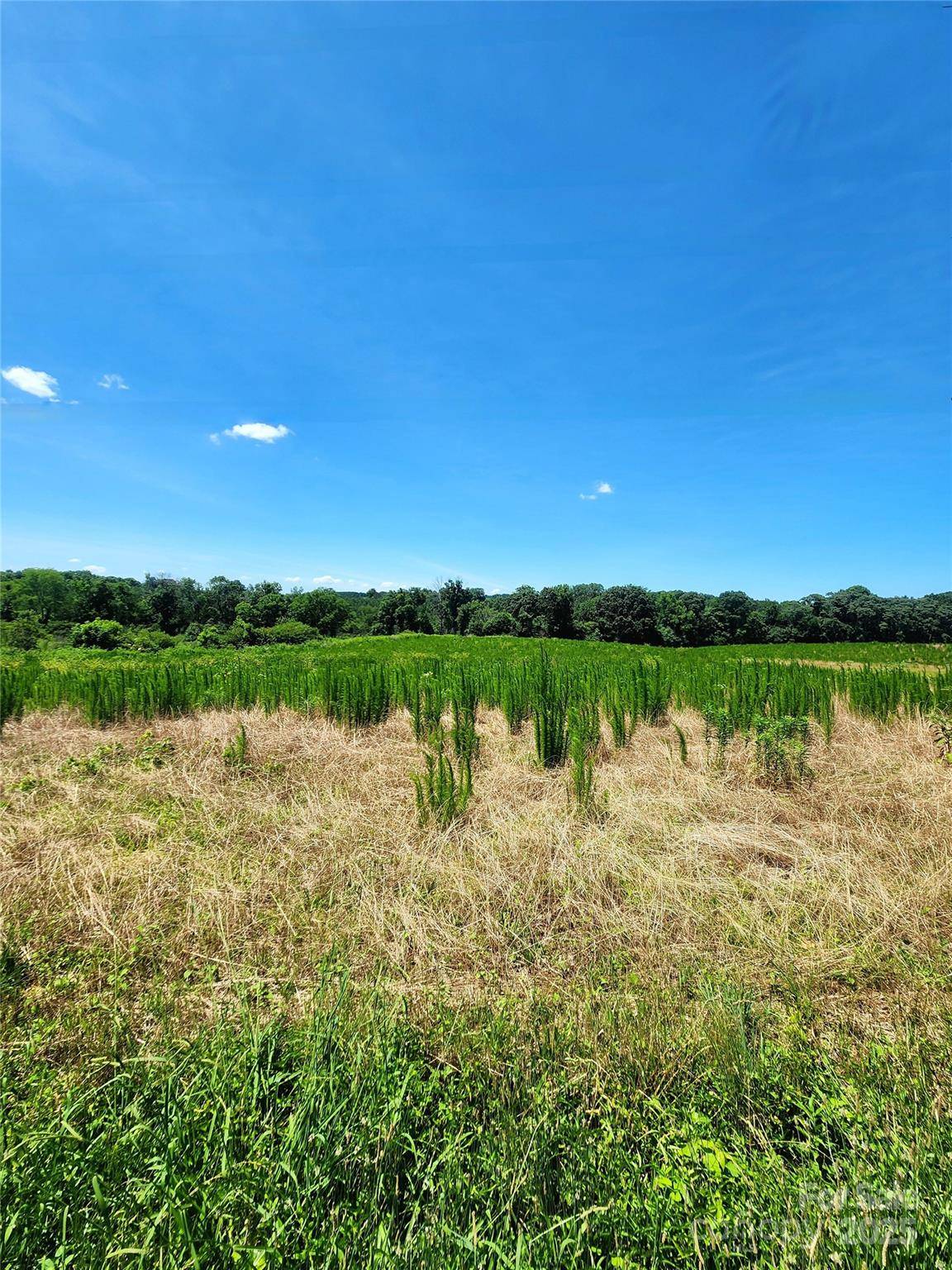 Albemarle, NC 28001,28681 Hatley Farm RD