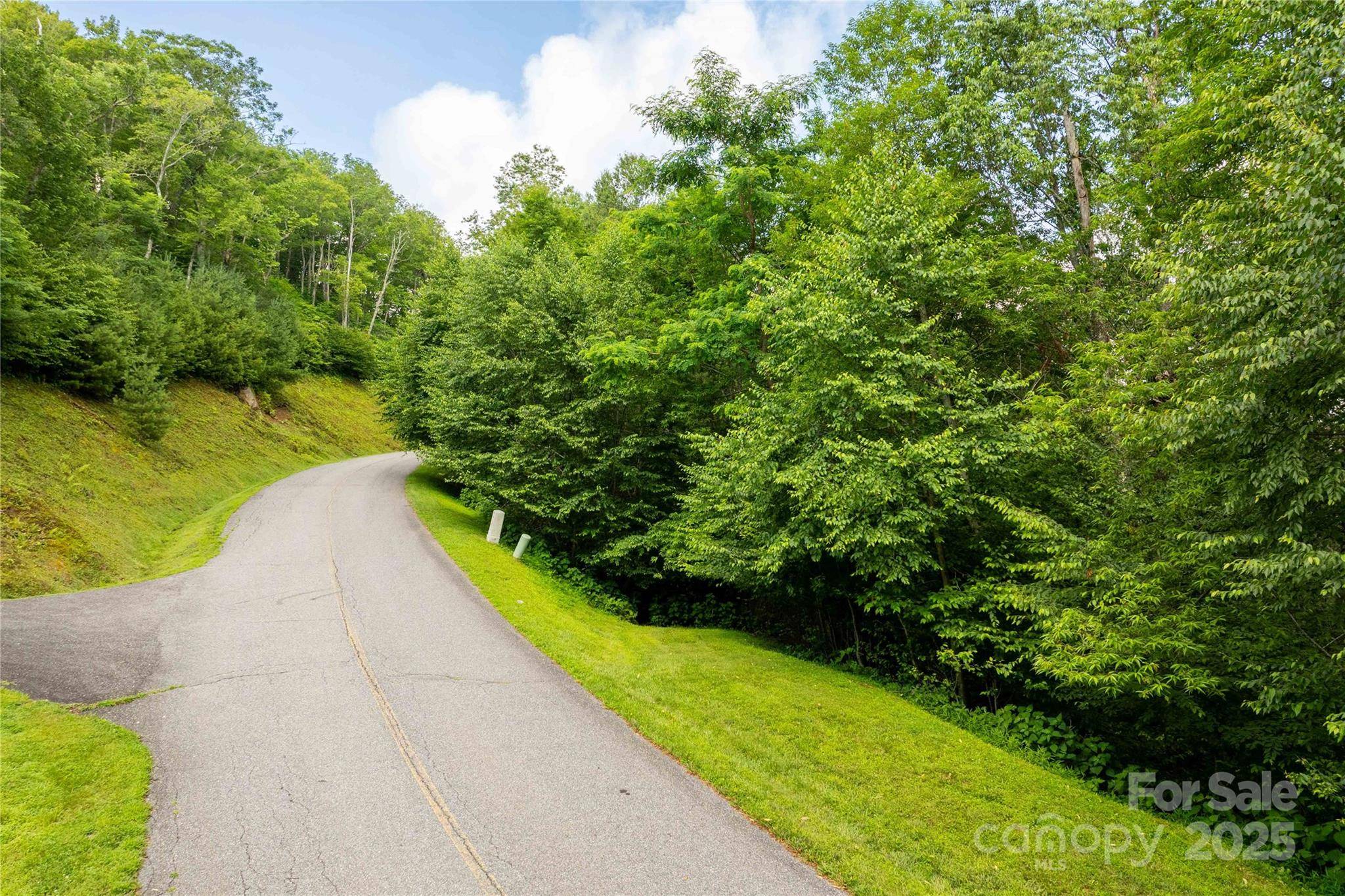 Blowing Rock, NC 28605,TBD Lot 123 Firethorn TRL #123