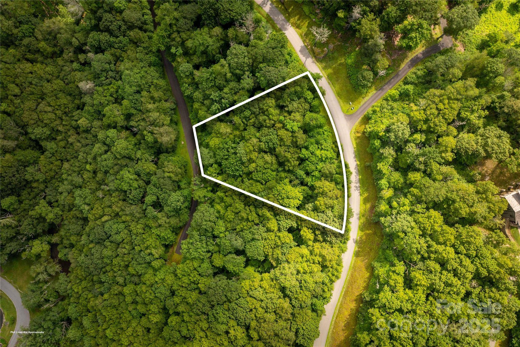 Blowing Rock, NC 28605,TBD Lot 124 Firethorn TRL #124