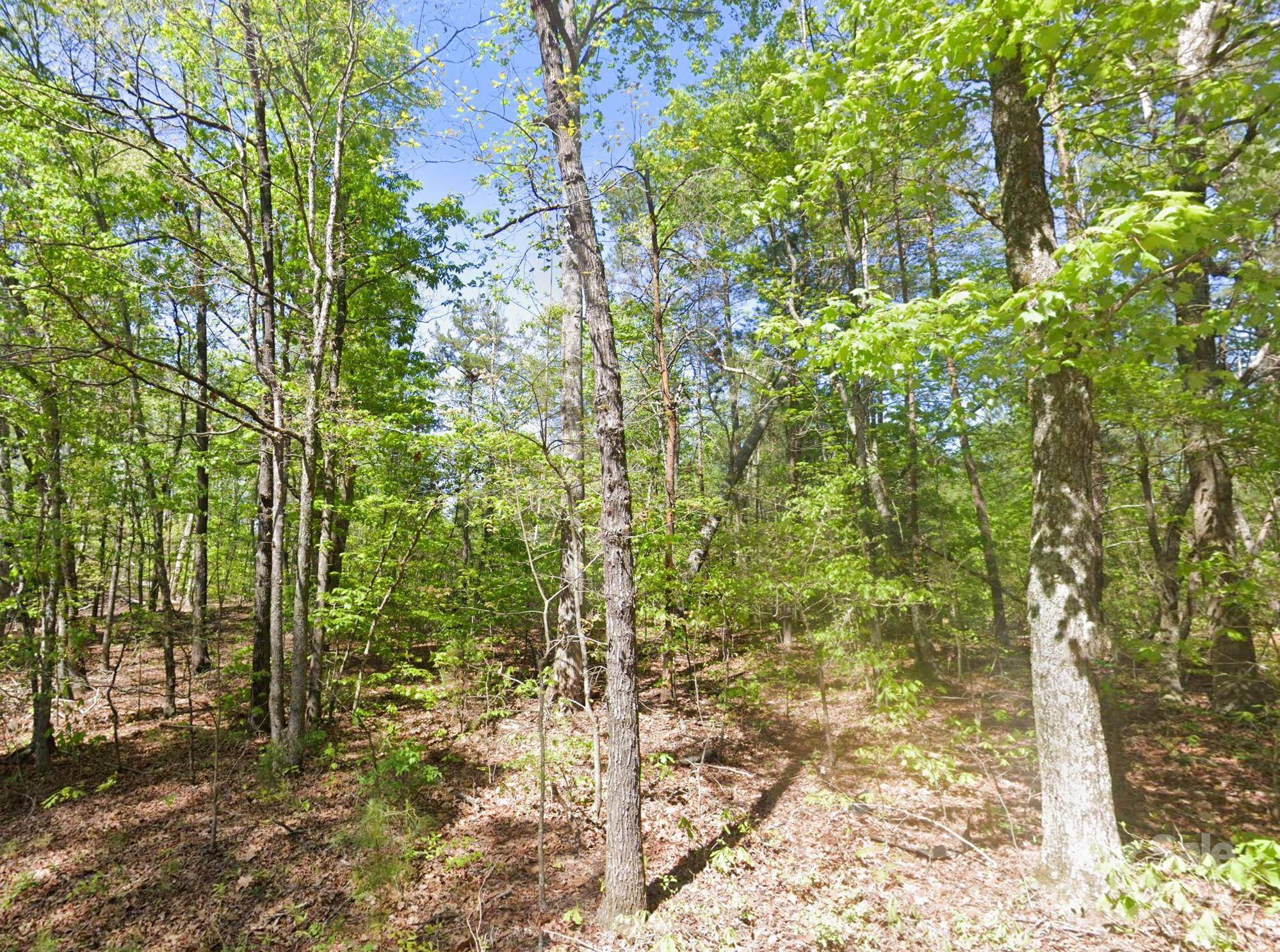 Rutherfordton, NC 28139,0 Pleasant Grove RD