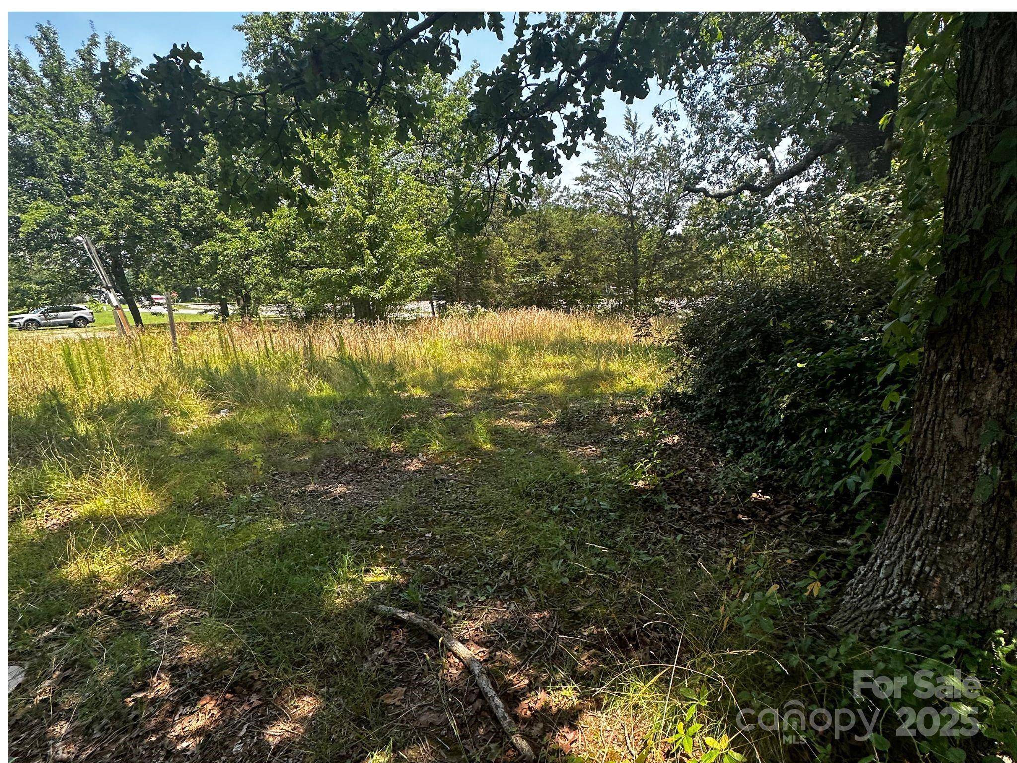 Iron Station, NC 28080,1554 Forum LN
