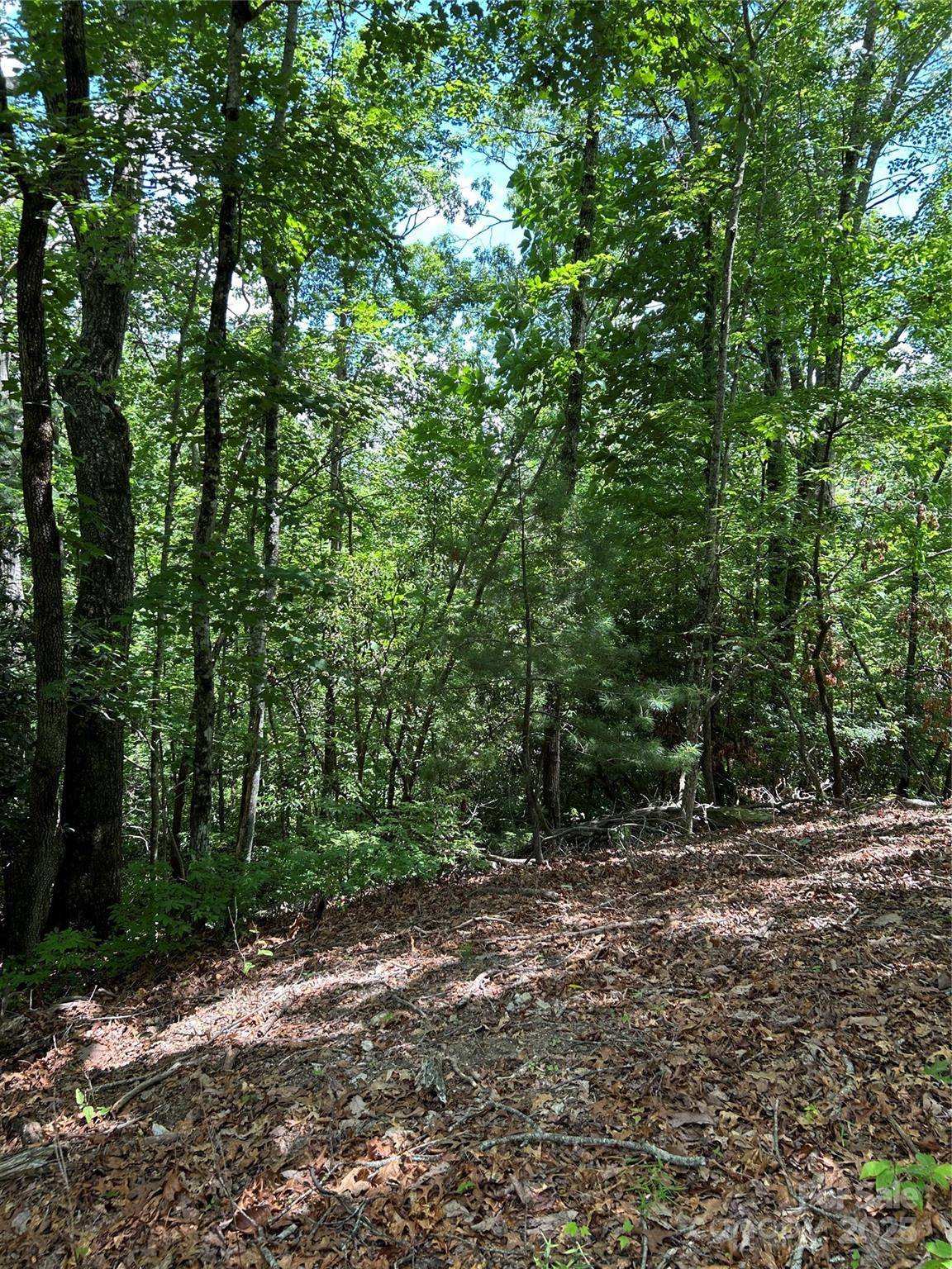 Brevard, NC 28712,TBD Galvloi CT