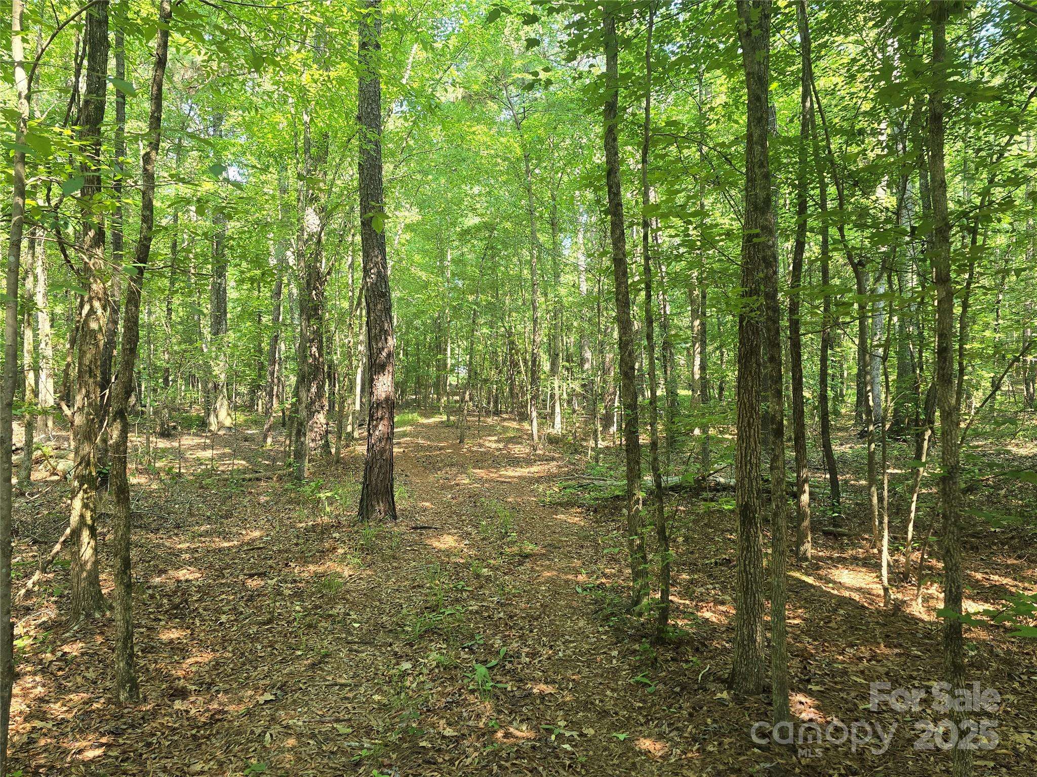 Heath Springs, SC 29058,00 Hoke RD