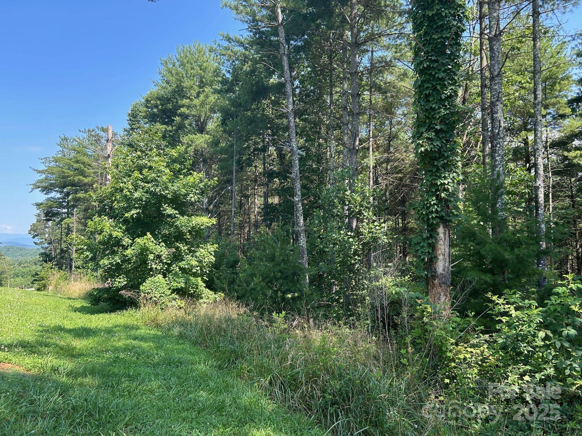 Nebo, NC 28761,268 Crest View DR #94