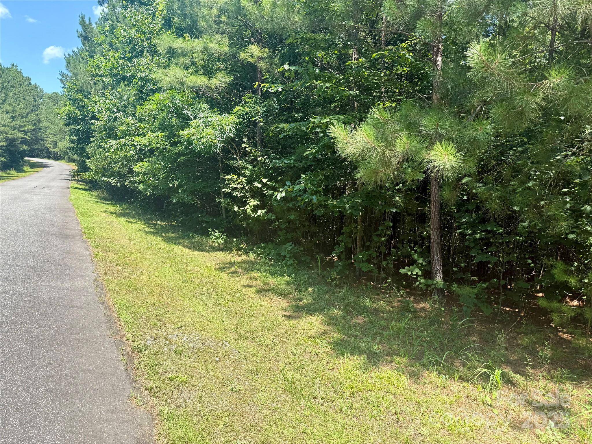 Rutherfordton, NC 28139,Lot 262 Cross Creek DR